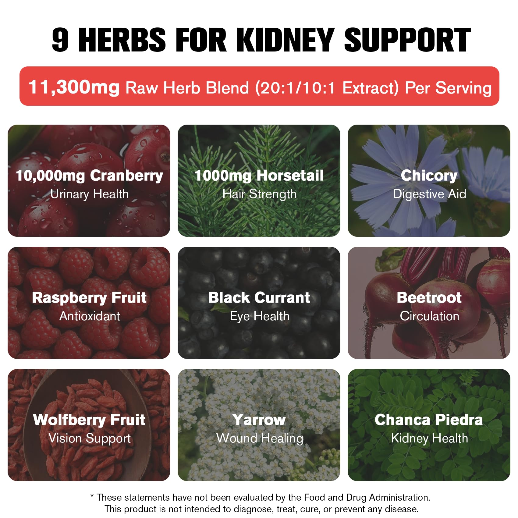 Kidney and Liver Cleanse Detox & Repair Drops - 2 Pack (60ml Each), Cranberry & Milk Thistle Supplement with Artichoke, Astragalus - Natural Herbal Support for Liver, Kidney & Urinary Tract Health