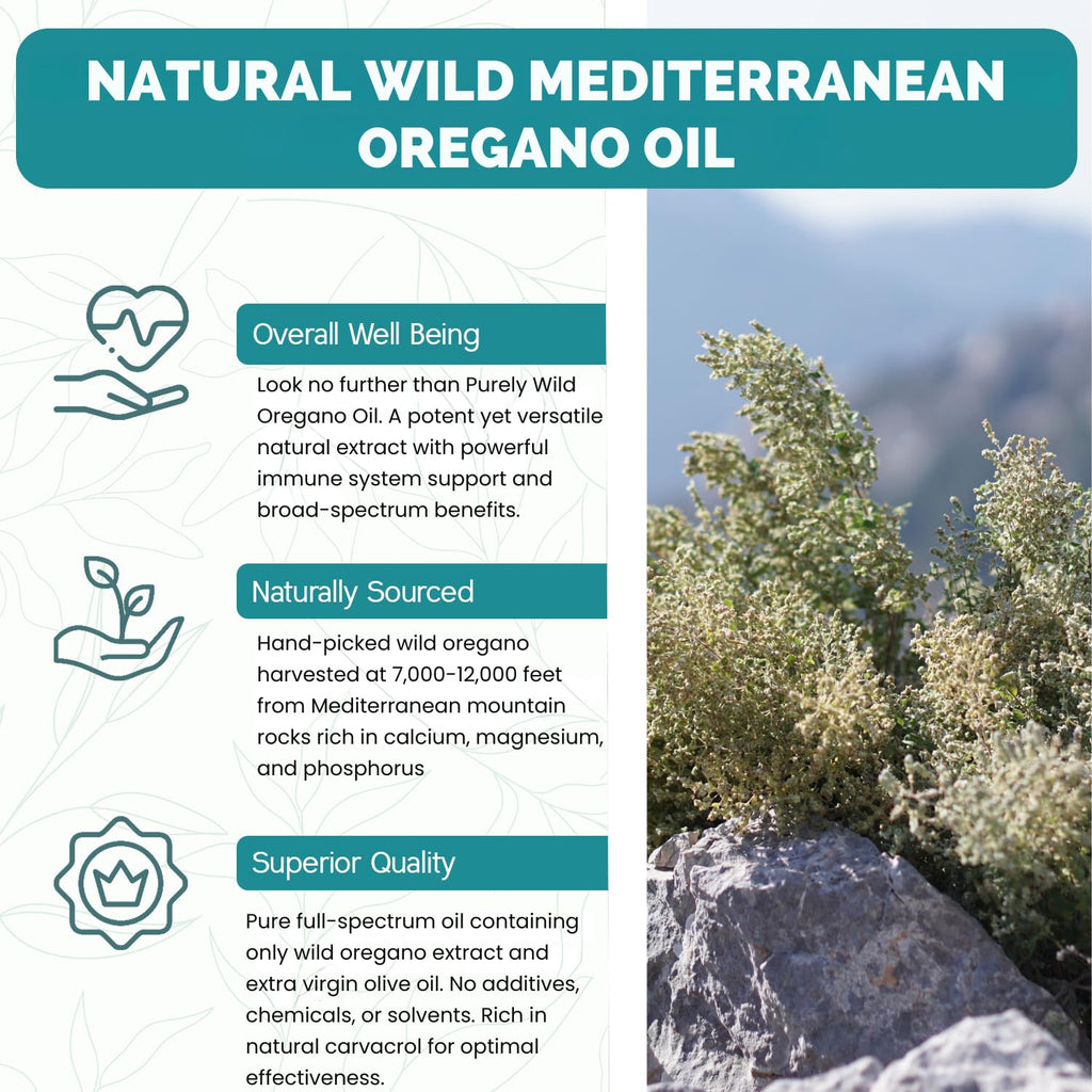 PURELY WILD Wild Oregano Oil Softgels by Dr. Cass Ingram - Wild-Harvested Turkish Oregano, Steam-Distilled and Emulsified in Extra Virgin Olive Oil - Immune & Digestive Support - Non-GMO - 90 Softgels