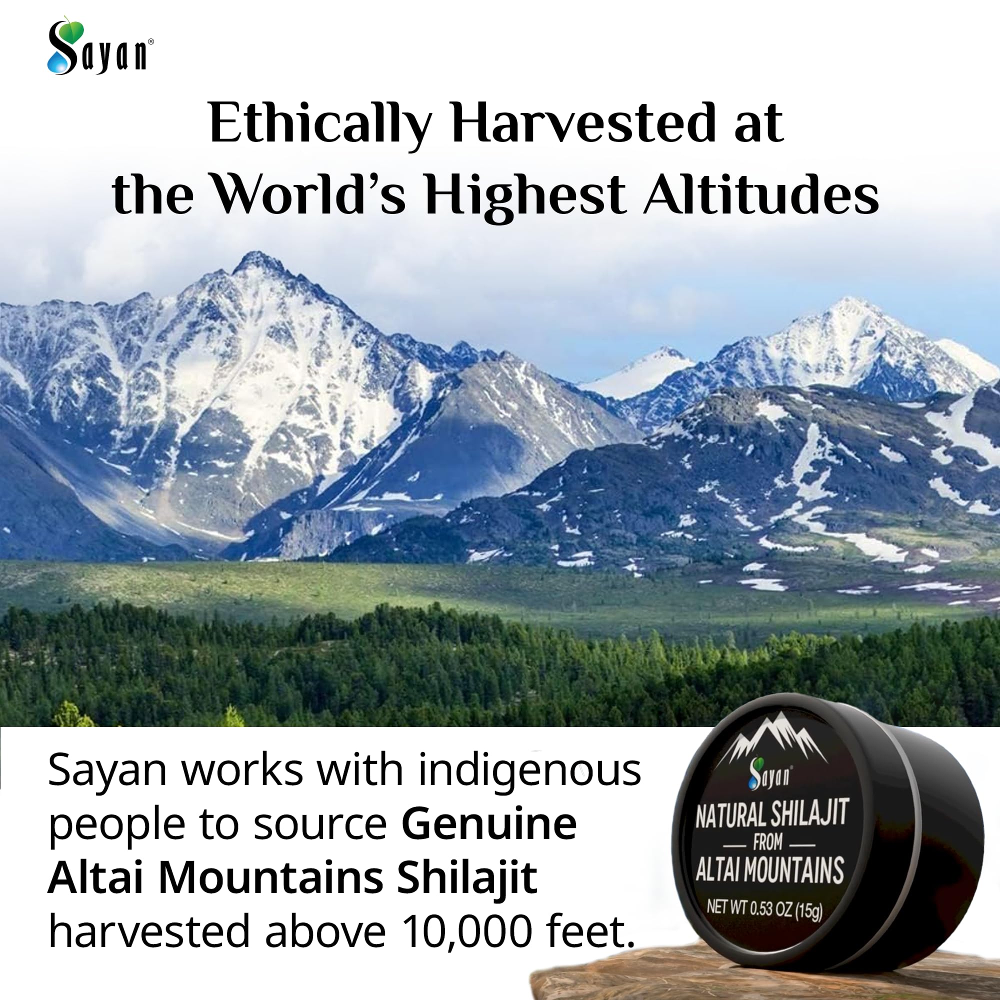 Sayan Pure Authentic Altai Shilajit Resin - 30 Grams, 4 Month Supply - High Efficacy Organic Fulvic Acid Supplement for Women and Men to Support Immune System, Energy, & Detox - Vegan, Non-GMO