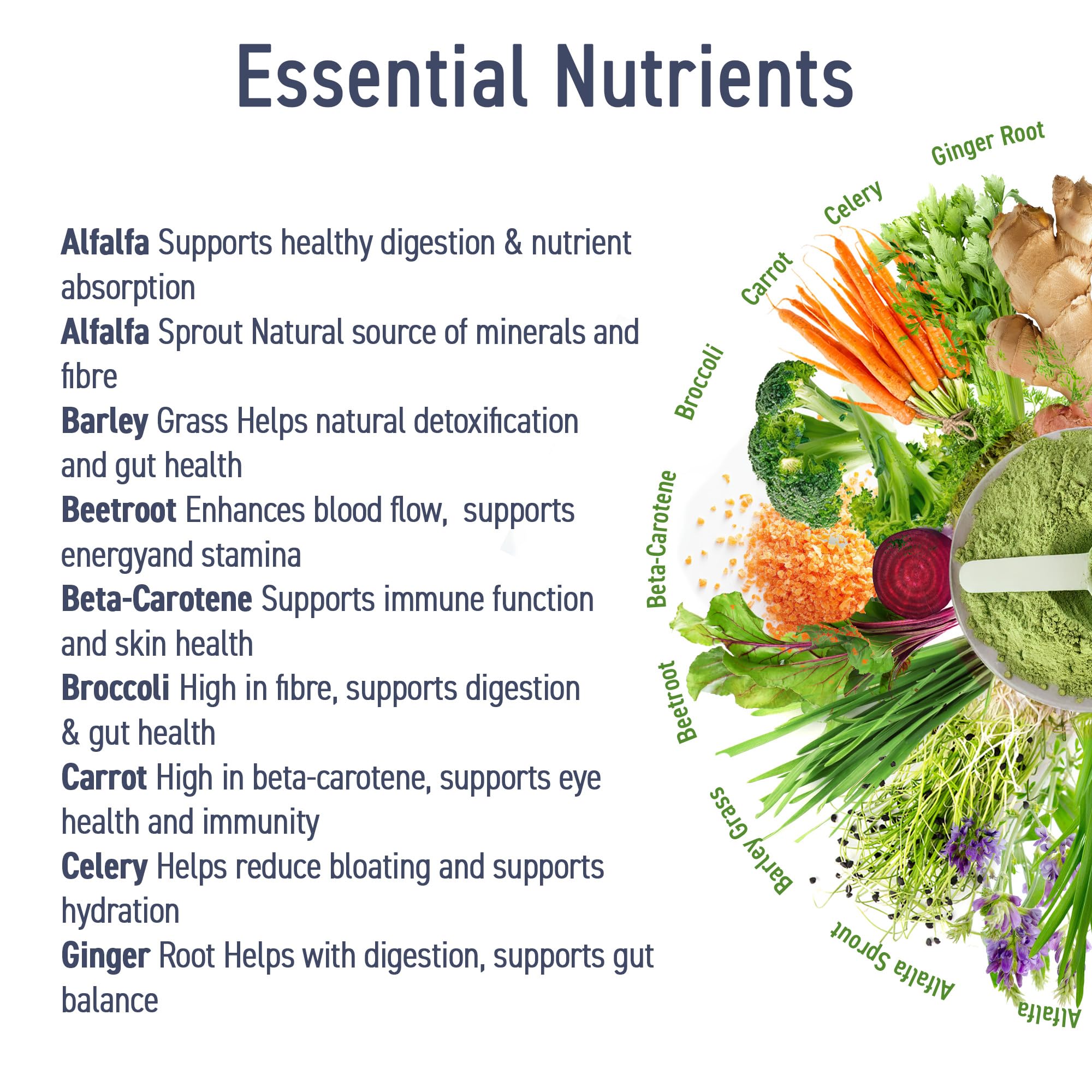 Applied Nutrition Critical Greens Powder and Superfood Blend for Gut Health Energy and Immune Support Vegan Daily Greens Juice Powder (150g - 30 Servings) (Unflavoured)