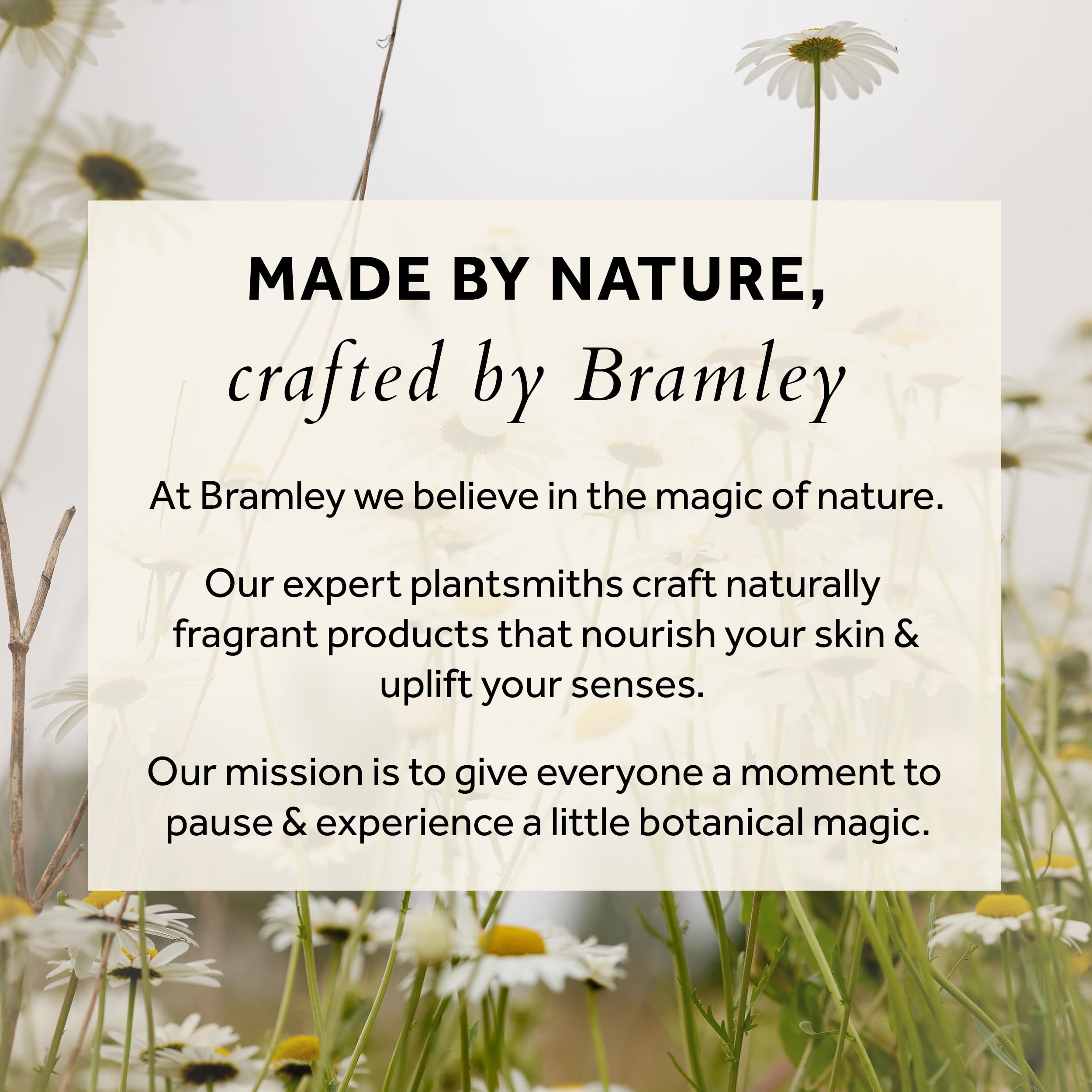 BRAMLEY Hand Wash, 250ml | Lavender, Geranium & Petitgrain Essential Oils | Natural Hand Wash with 100% Natural Fragance | Liquid Hand Soap | Vegan and Cruelty Free | Gift | Green living | Gift