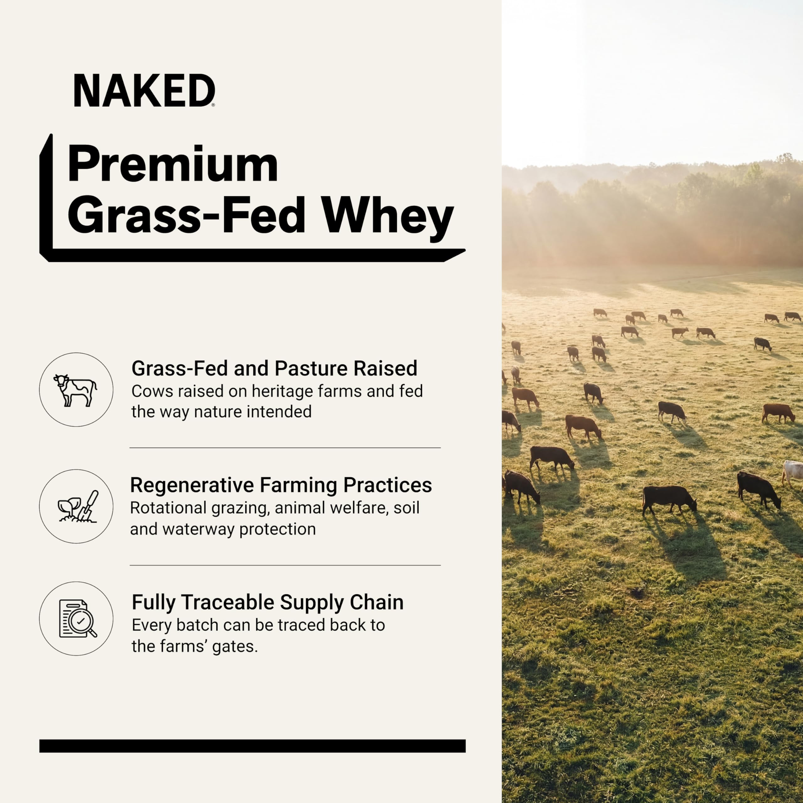 NAKED Chocolate Whey 1LB - All Natural Grass Fed Whey Protein Powder, Organic Cacao, and Coconut Sugar - NSF Certified, No GMO, No Soy, and Gluten Free, Aid Growth and Recovery - 12 Servings