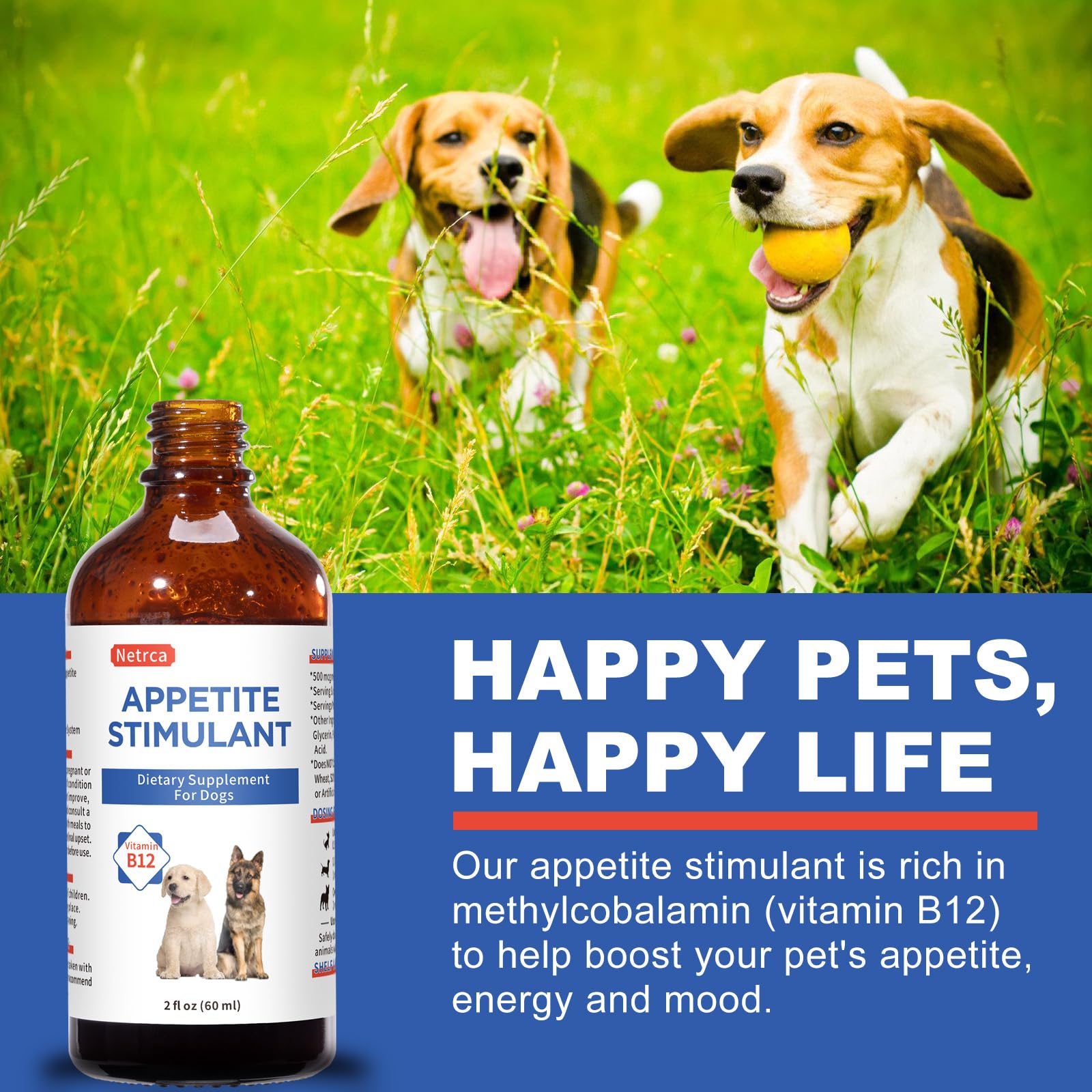 Netrca Appetite Stimulant for Dogs - Vitamin B12 (Methylcobalamin) Liquid Supplement - Boosts Appetite, Energy, and Mood - 60 ml