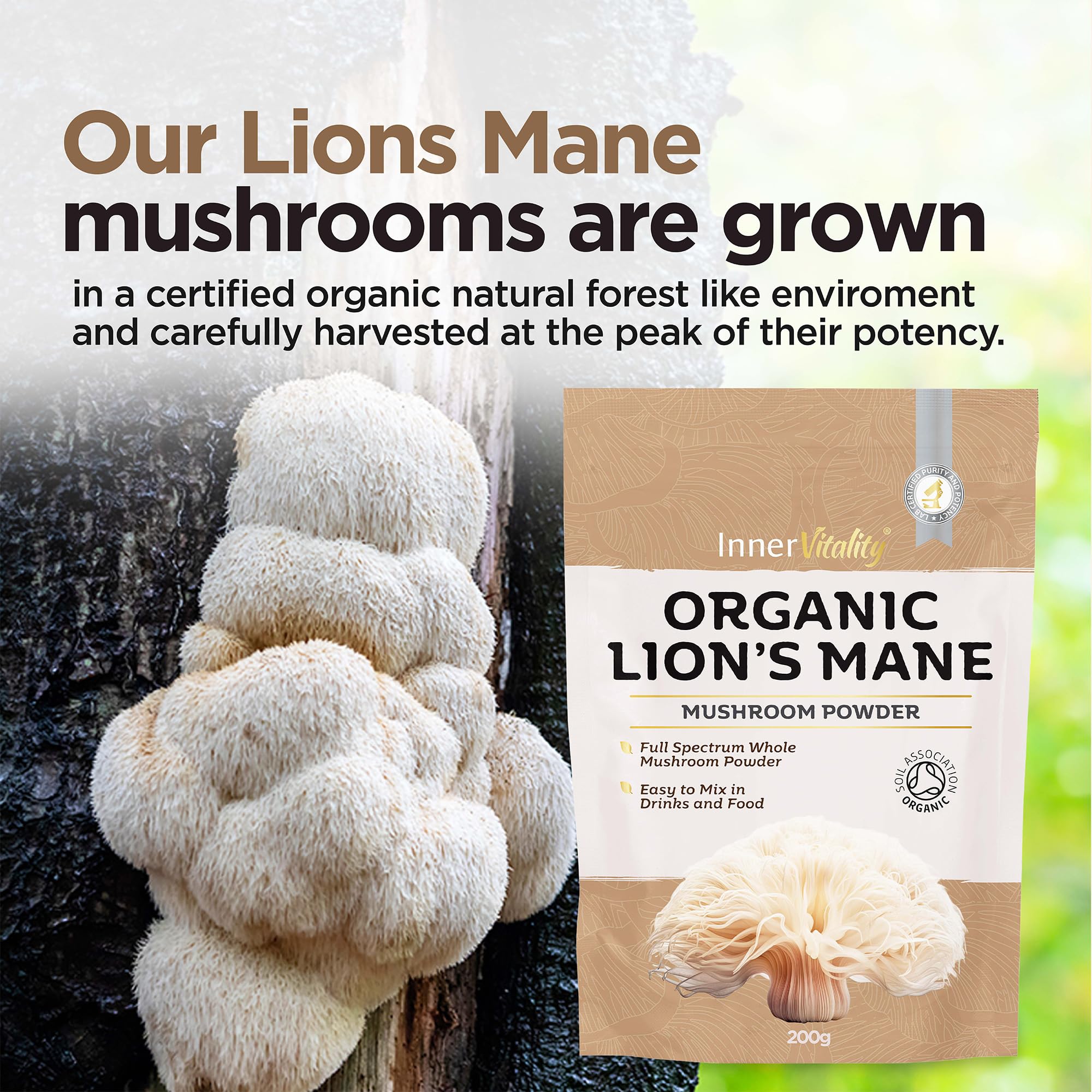 Organic Lions Mane Mushroom Powder, Natural High Strength Full-Spectrum