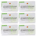 Reviva Seaweed Soap - 6 Pack - Organic Seaweed Face Scrub and Exfoliating Body Scrub Soap Bar - 4.5 oz. Vegetable Base Natural Bar Soap and Seaweed Bath Detox Soap Made in the USA