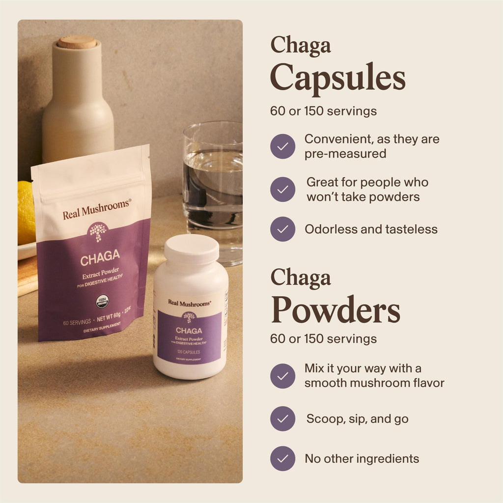 Real Mushrooms Chaga Mushroom Capsules – Organic Chaga Extract Powder with Extract Powder for Wellness & Energy Support– Vegan, Non-GMO, 300 Capsules – Organic Mushroom Supplement