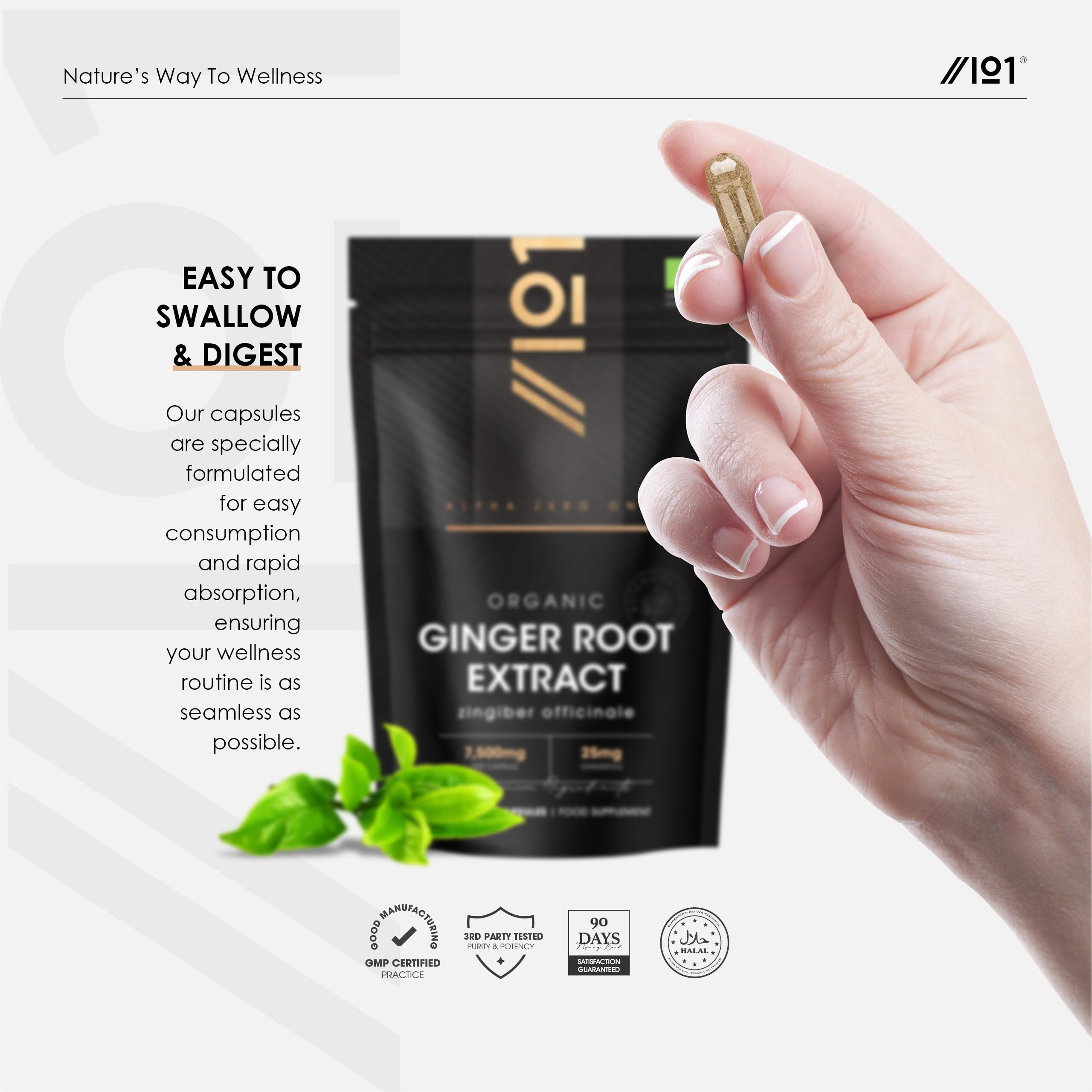 Organic Ginger Extract 7500mg – Standardised 5% Gingerols (25mg) - 90 Vegan Capsules (3 Months Supply) – Resealable and Recyclable Pouch by Alpha01