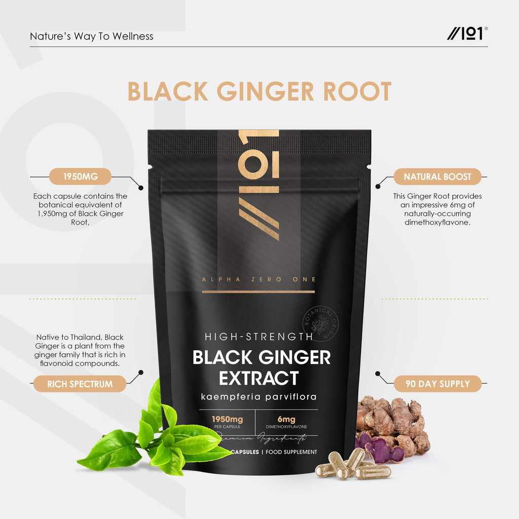 Black Ginger Extract 1950mg – High Strength 4% Dimethoxyflavone (6mg) - 90 Vegan Capsules (3 Month Supply) - Resealable and Recyclable Pouch – By Alpha01
