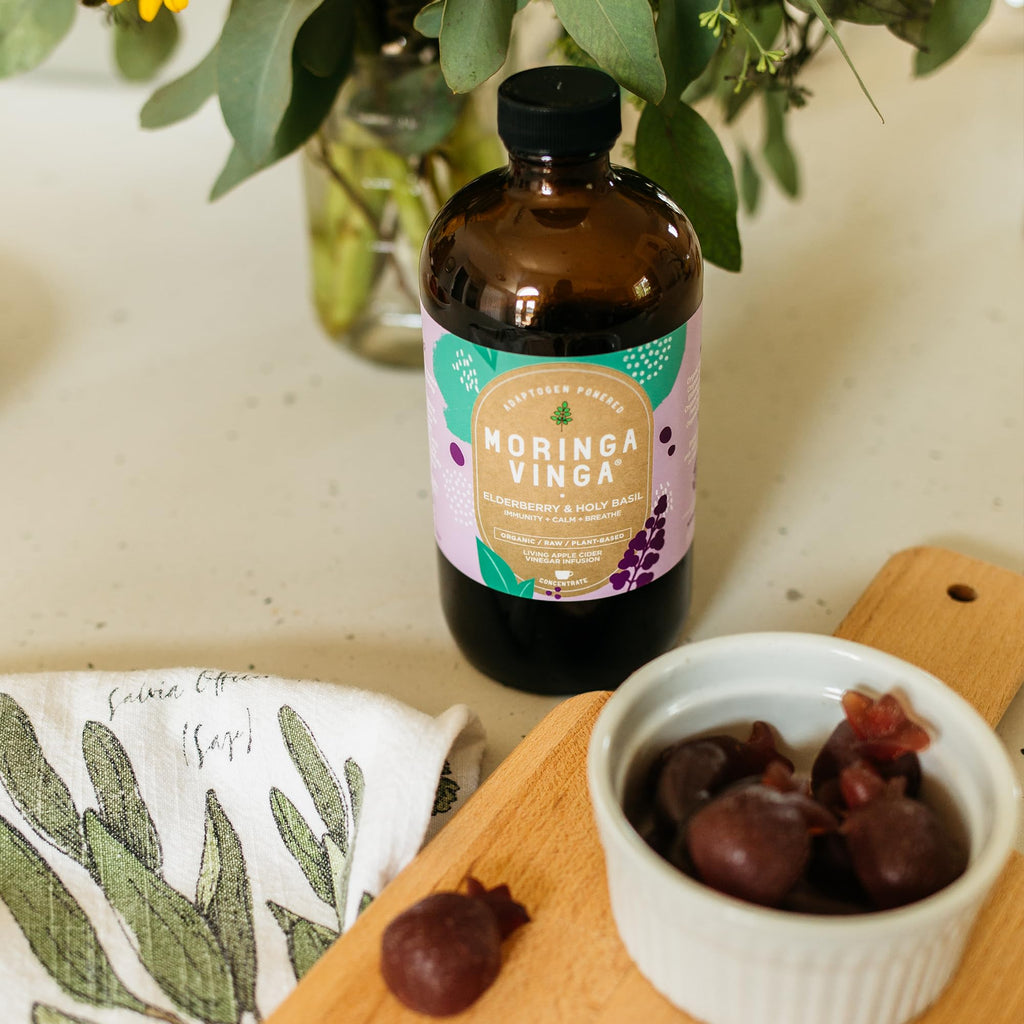 VINGA Organic Elderberry & Holy Basil Moringa Infusion – Daily Herbal Tonic with Apple Cider Vinegar, Ginger, Hibiscus, Honey | Supports Immune & Overall Wellness | Non-GMO, 16 oz