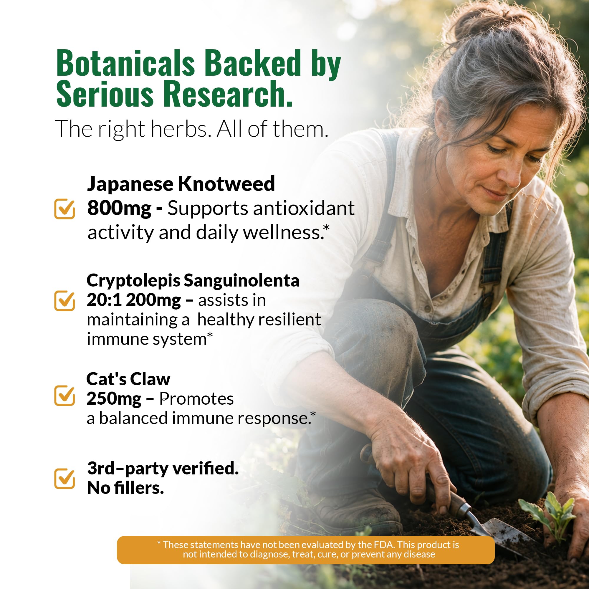 Zenmen Tick Immune Support Supplement - Improved Formula - Japanese Knotweed, Cat's Claw, Chinese Skullcap, Cryptolepis Sanguinolenta, Sweet Wormwood - 90 Vegan Capsules, Made in The USA