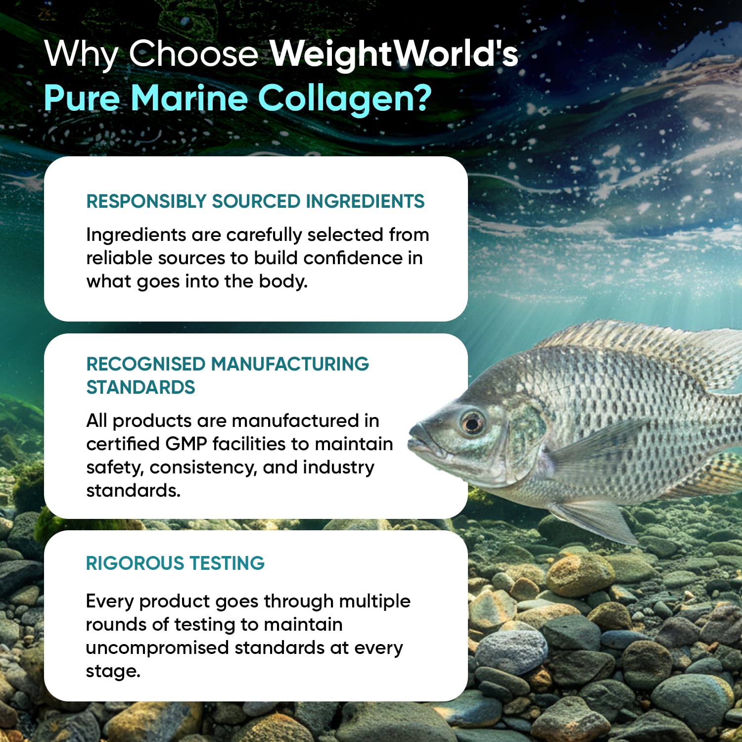 Pure Marine Collagen Capsules - 120 Capsules - 1200mg - 2 Months Supply