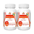 Logic Nutra Mastic Gum Capsules - Natural Gastrointestinal Support Supplement, 1000mg Per Serving - 120 Capsules (2 Bottles)
