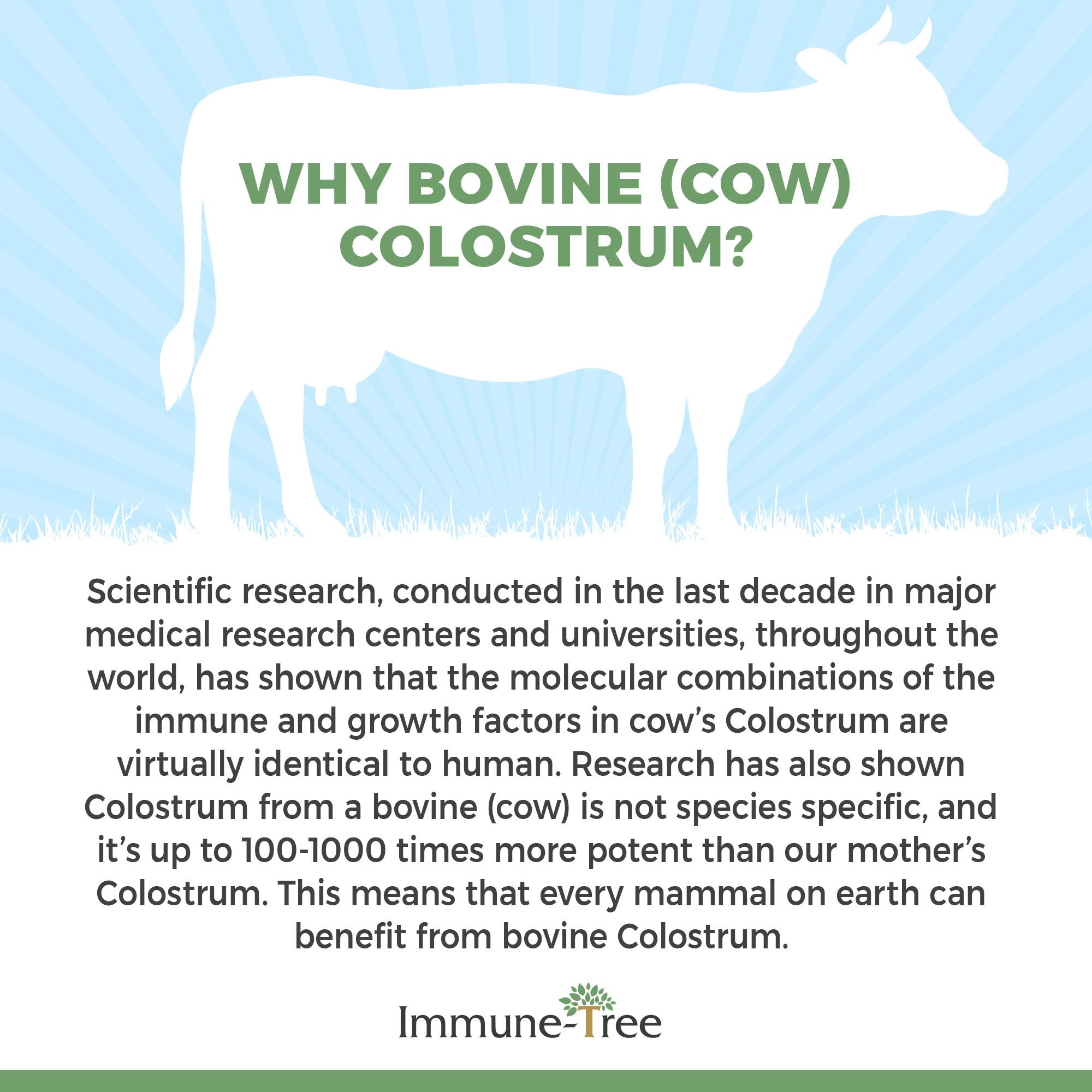 Immune-Tree 100% Bovine Colostrum Powder, 120 Servings, 6.5oz, Supports Anti-Aging, Healthy Immune System, Gut & Digestion, Muscle & Tissue, & Wellness, Made in USA from Grass Fed, Grade A Dairy Cows