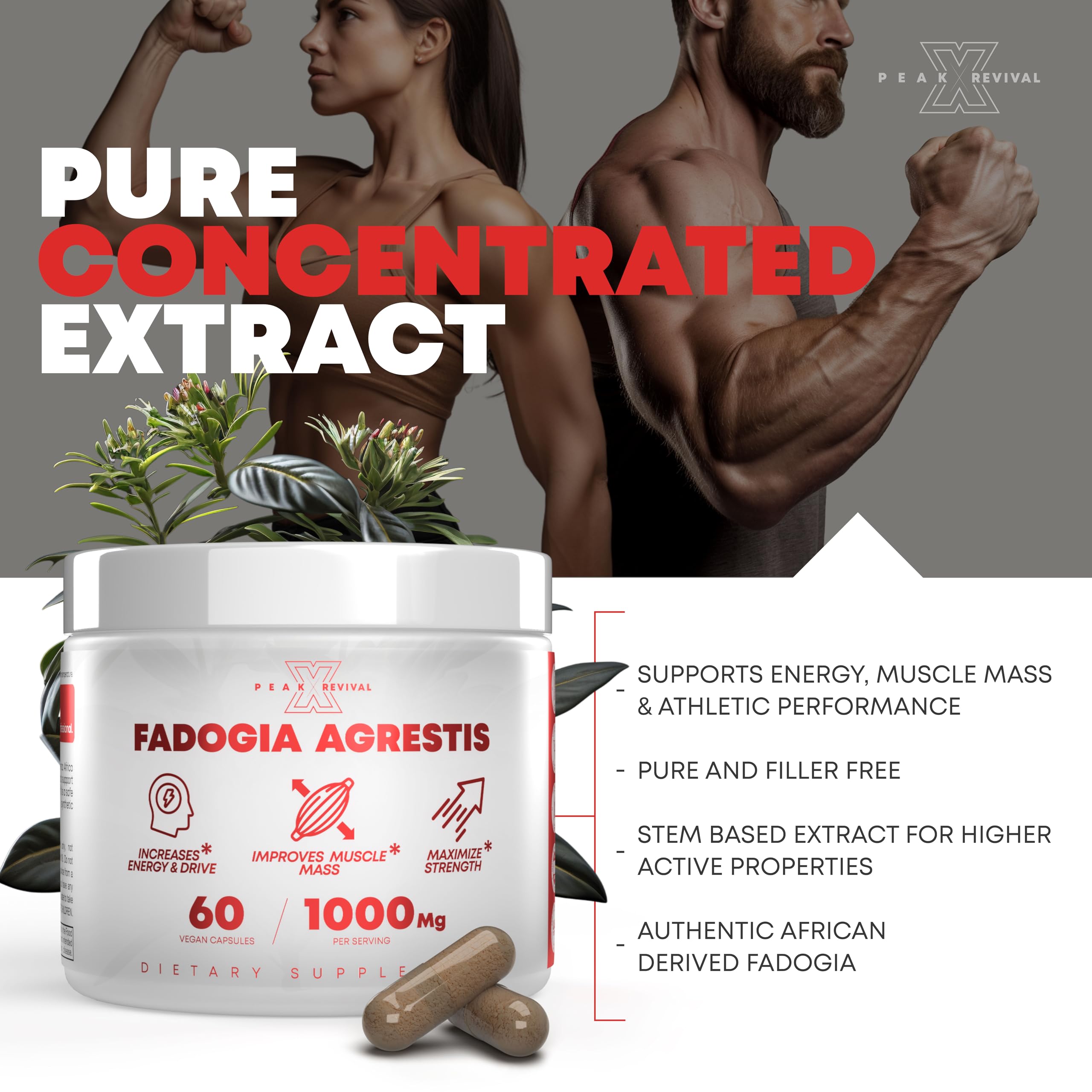 Testosterone Booster for Men with Fadogia Agrestis 1000mg Per Serving - Improve Natural Testosterone production, Increase Energy and Muscle Growth - Testosterone Supplement for Men (60 Capsules)