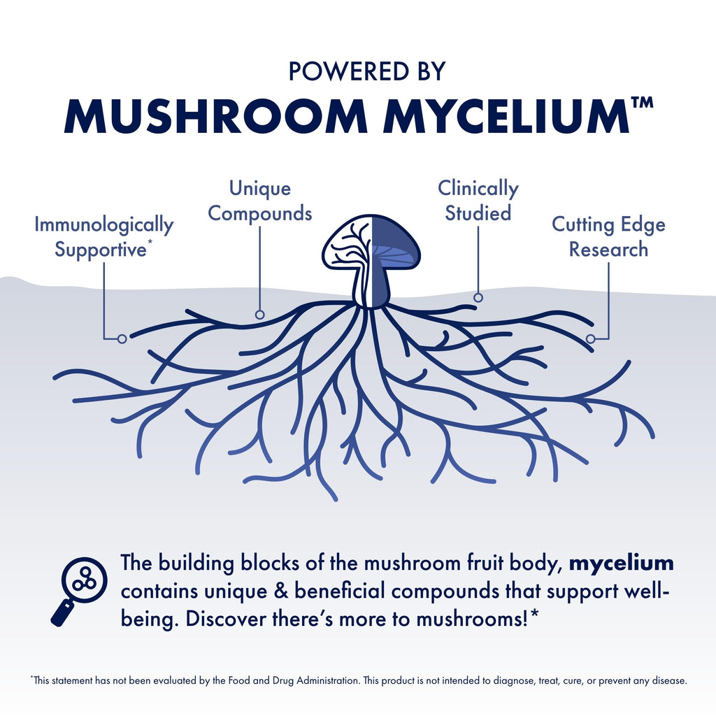 Host Defense Mesima Capsules - Herbal Antioxidant Activity & Immune System Support Supplement - Mushroom Supplement to Support Balanced Immune Response - 60 Capsules (30 Servings)*