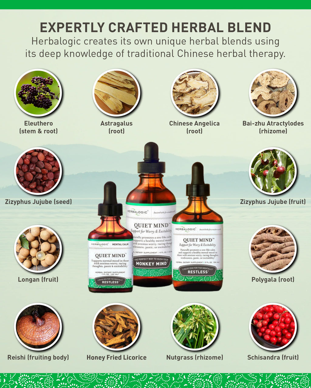 Herbalogic - Quiet Mind Liquid Herb Drops - Non-Sedating, Promotes a Feeling of Zen-Like Calm - Eases Worry and Panicky Mood - Based on the Traditional Chinese Formula GUI Pi Tang - 2 Fl. Oz.