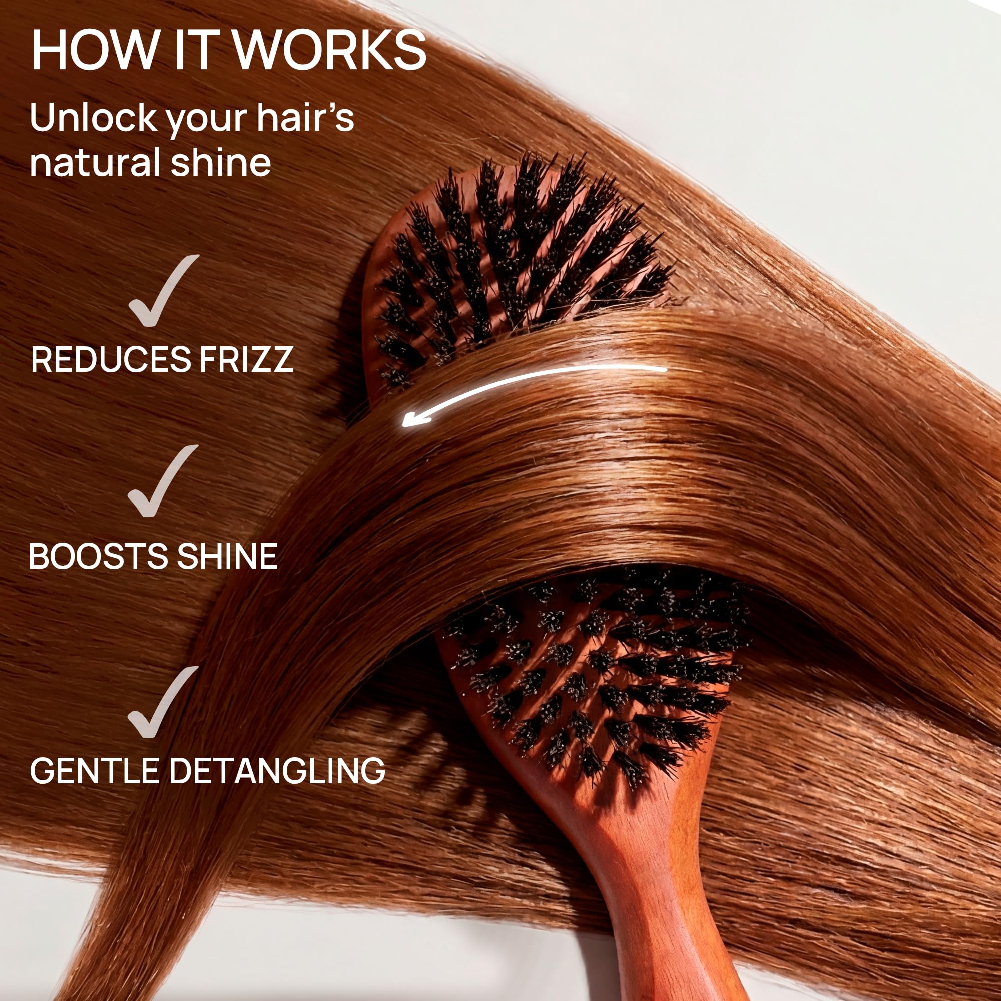 100% Pure Calcutta Boar Bristle Hairbrush for Natural Healthy Hair, Stiff Bristle, Made in Germany's Black Forest