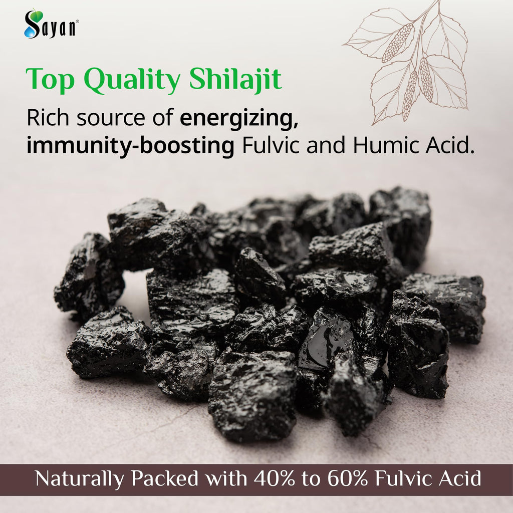 Sayan Pure Shilajit Resin 1oz/25g, Glass Jar, 250 Servings - Potent Organic Fulvic Acid Supplement - Supports Immune System, Memory, Focus, and Provides Natural Energy, Detox - Vegan, Non-GMO