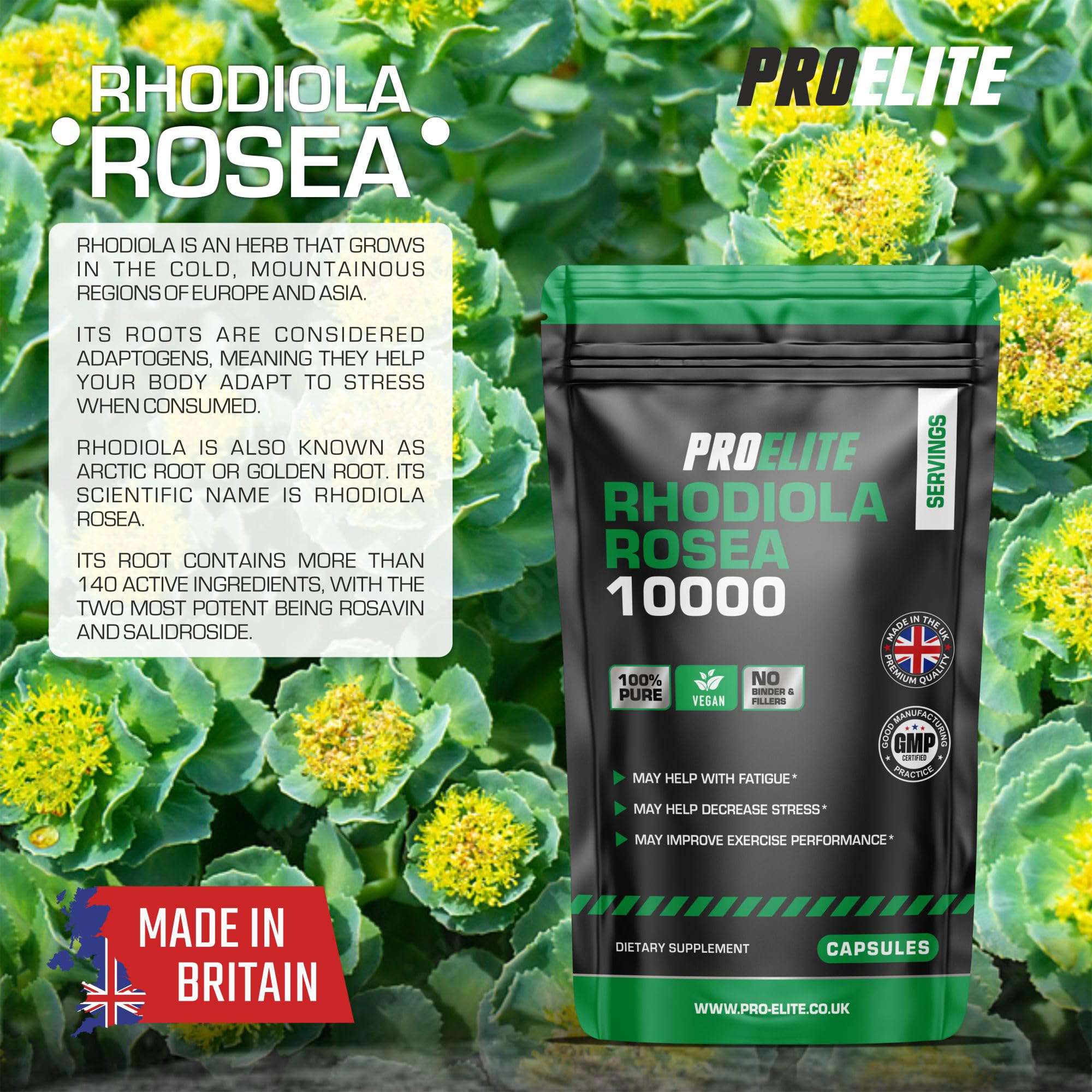 Rhodiola Rosea Extract 500mg 60 Vegan Capsules | 3% Standardised Rosavins 1% Salidrosid | Arctic Root Nootropic Adaptogen Supplement | Premium Rhodiola Root Extract | Made in UK by PROELITE