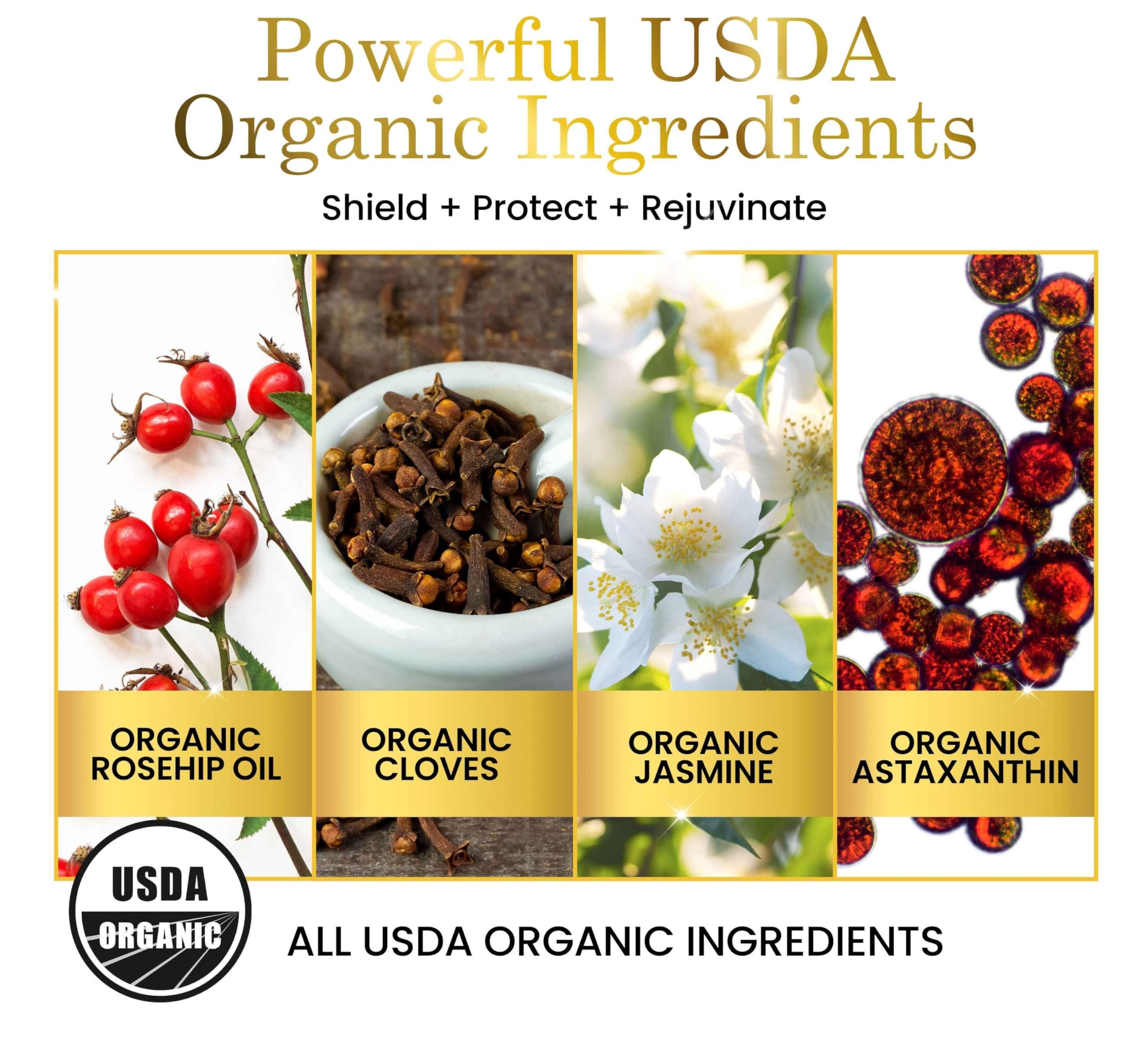 Luxe Beauty Organic Astaxanthin Serum - Concentrated Antioxidants - Also with Organic Rosehip Oil, Clove Oil, Raspberry Seed Oil, and More - Face Serum to Help Prevent Premature Skin Aging