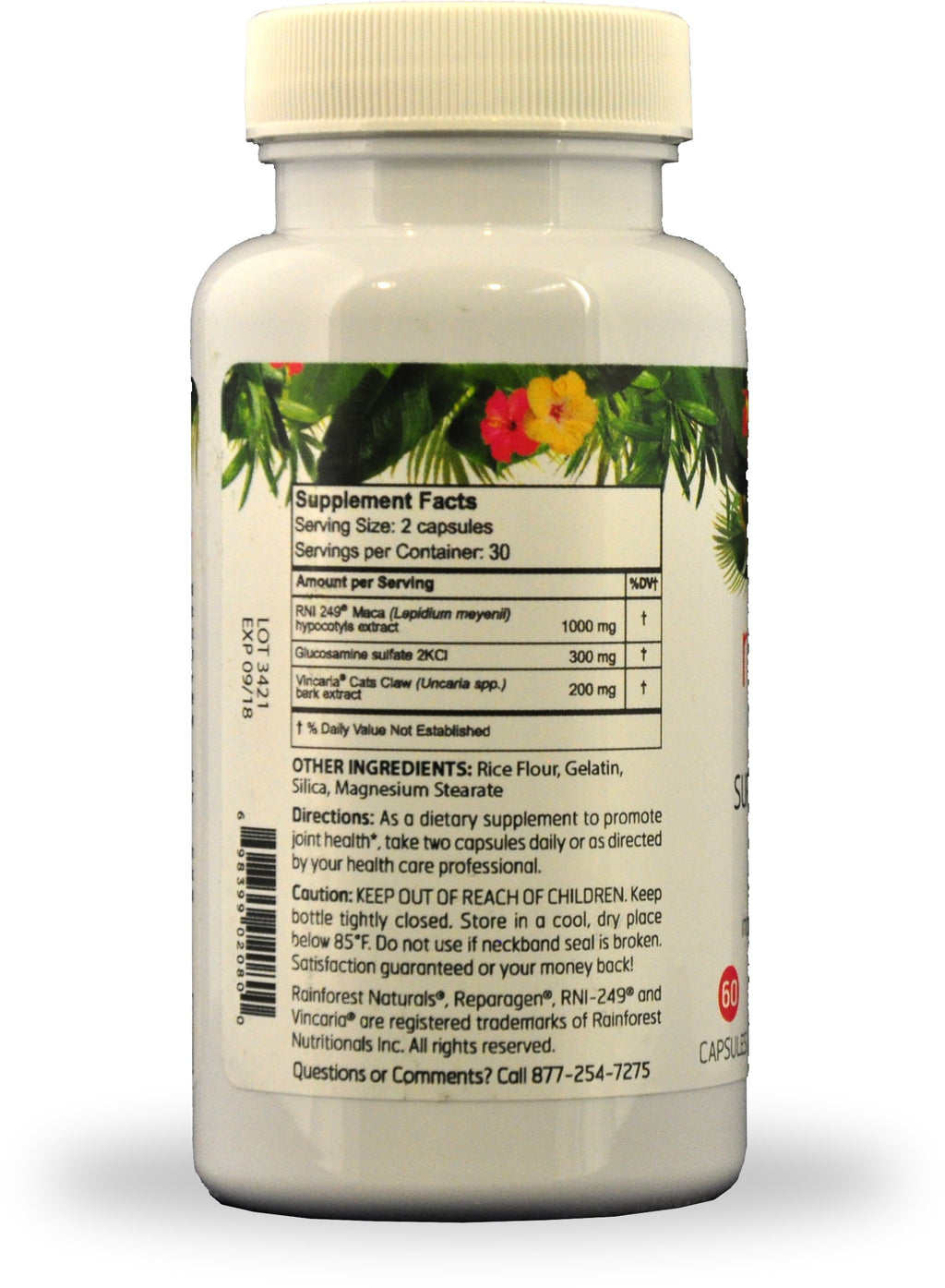 Rainforest Nutritionals Inc. Reparagen Plus Glucosamine (60 Capsules) Clinically Proven Fast Acting All Natural Joint Health Supplement Better Than Glucosamine Alone
