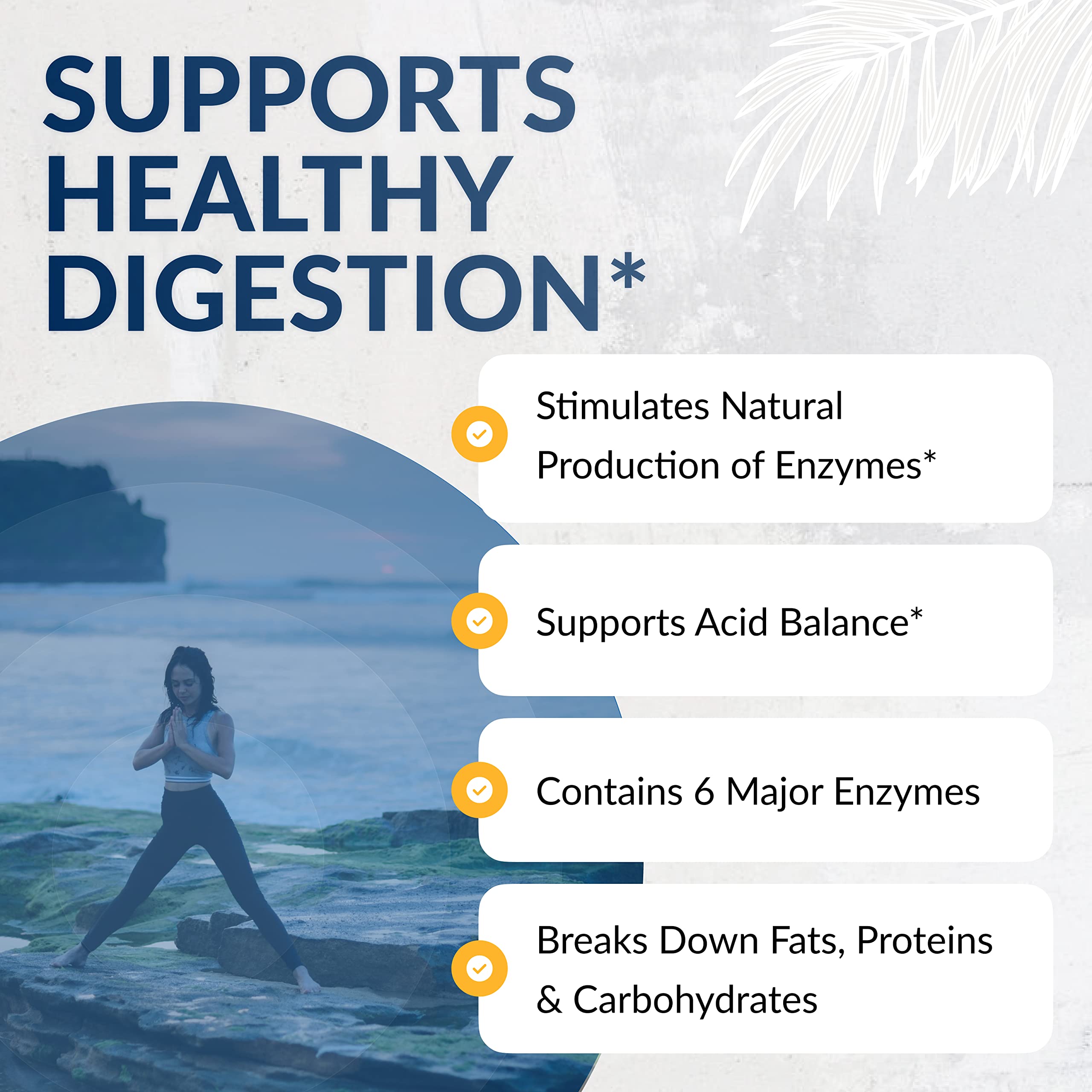 Equilife Daily Digestive Enzymes, Bromelain, Lactase & Lipase, 90 Capsules