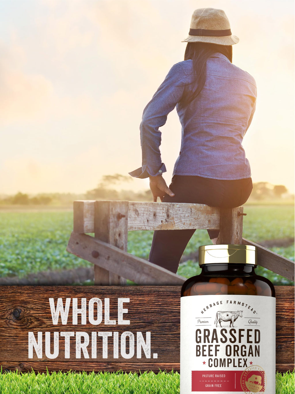 Carlyle Grass Fed Beef Organ Complex | 200 Capsules | Pasture Raised