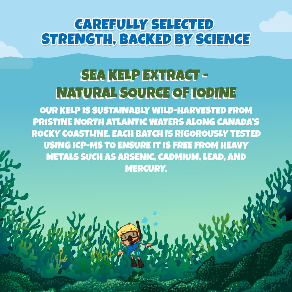 Kids Sea Kelp Iodine 75mcg 90 Chewable Tablets, Supports Learning & Growth