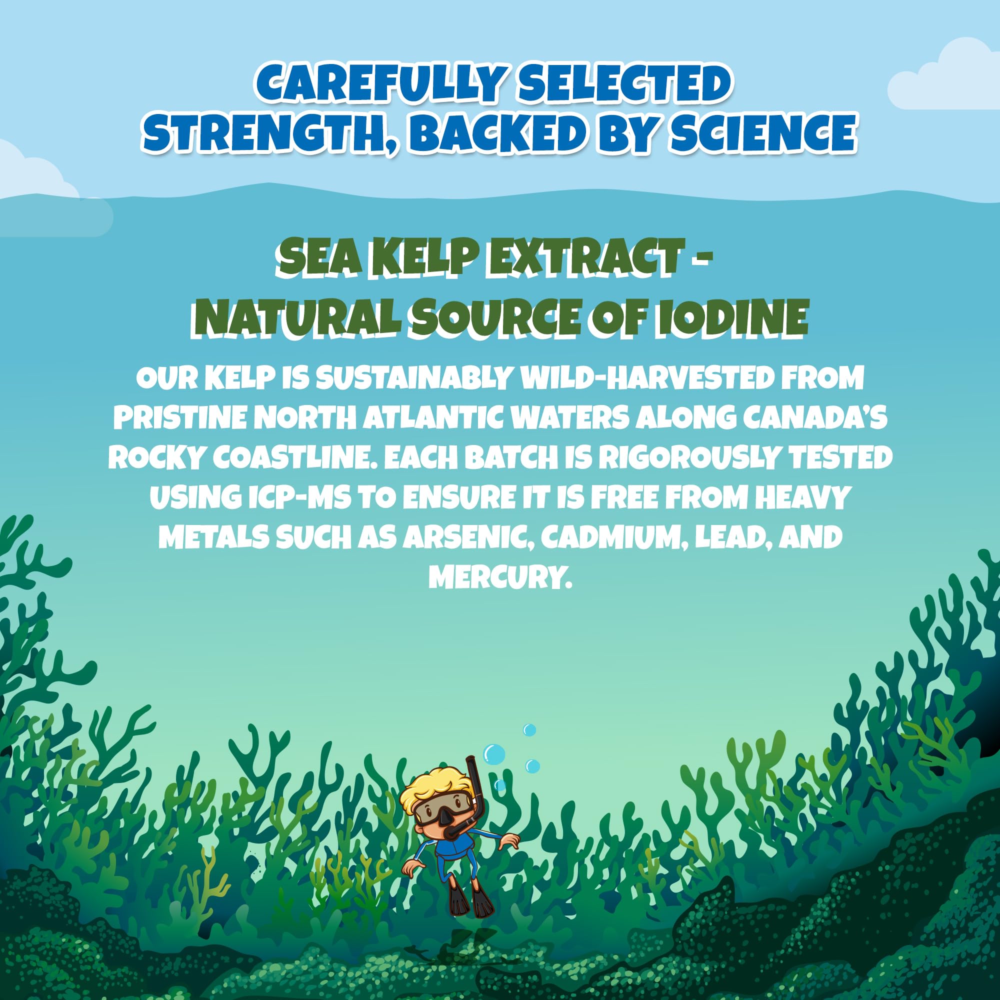 Kids Sea Kelp Iodine 75mcg 90 Chewable Tablets, Supports Learning & Growth