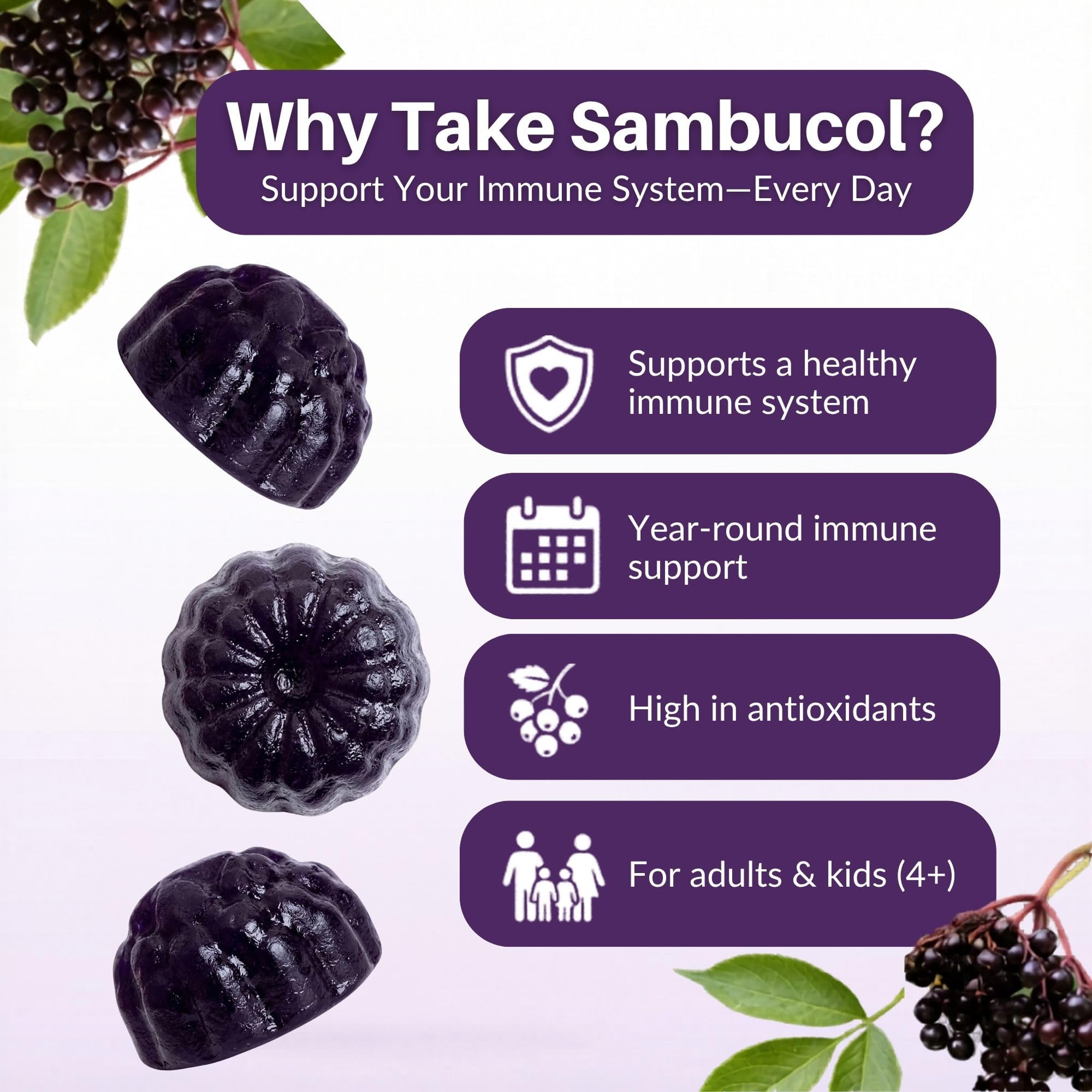 Sambucol Elderberry Gummies - Immune Support Supplement - 90 Count