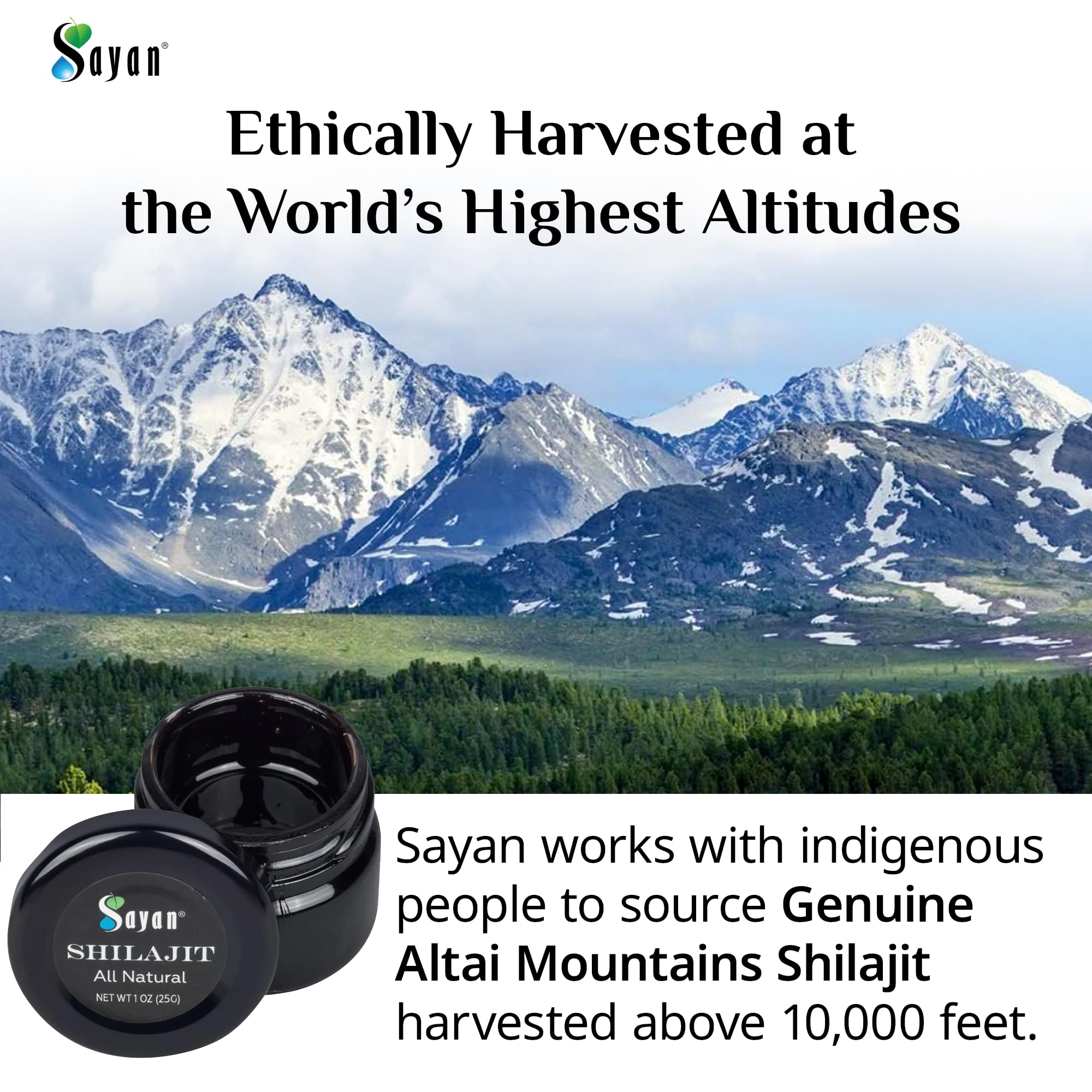 Sayan Pure Shilajit Resin 1oz/25g, Glass Jar, 250 Servings - Potent Organic Fulvic Acid Supplement - Supports Immune System, Memory, Focus, and Provides Natural Energy, Detox - Vegan, Non-GMO