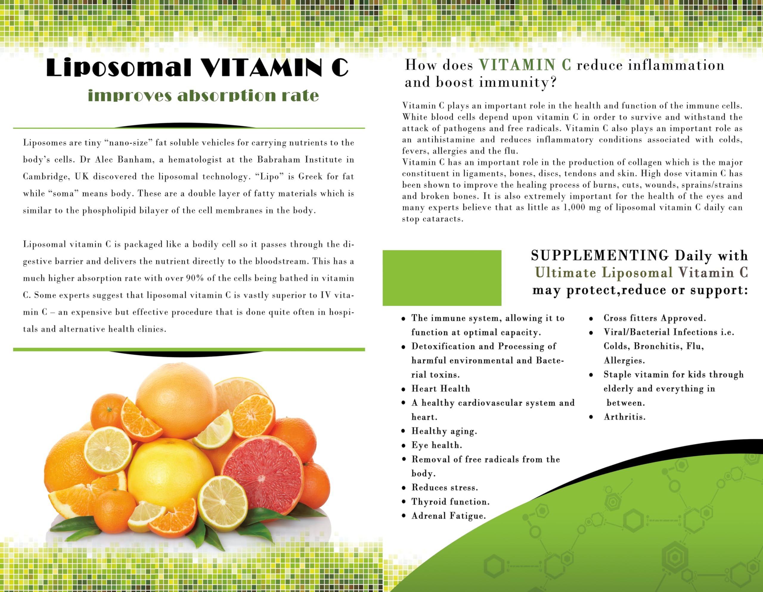Board Room Organics NEW Formula/NEW Management- Better Than Ever- Ultimate Liposomal Vitamin C | 3000mg Per Serving | 16oz 1 Best Liposomal C on Market Today Vegan Collegan Booster Non-GMO
