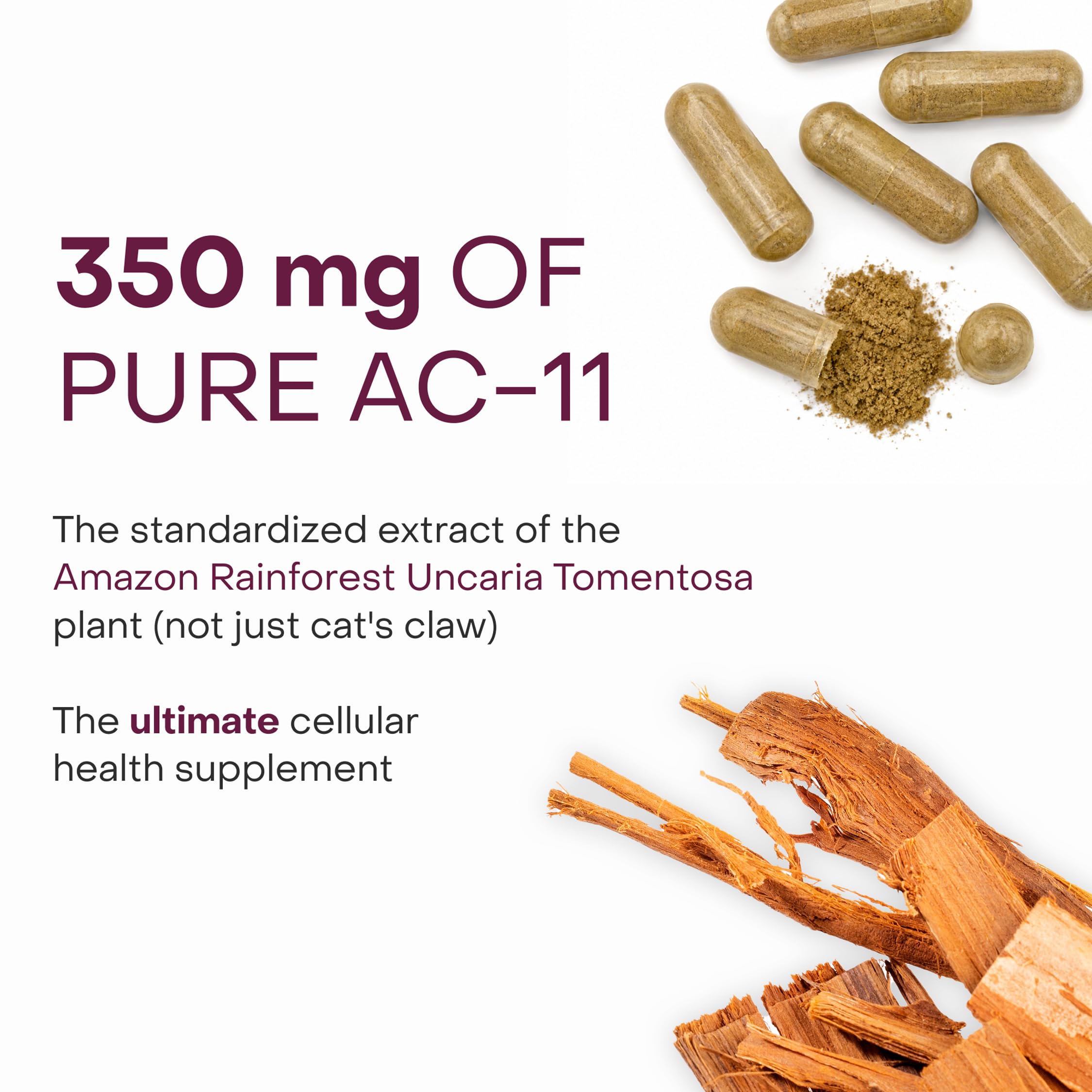 Healthycell Telomere Length Supplement - Anti-Aging Telomere Lengthening Supplements with Phytonutrients & Vitamins for Cellular Health - AC-11, Astragalus & Resveratrol - 30 Capsules