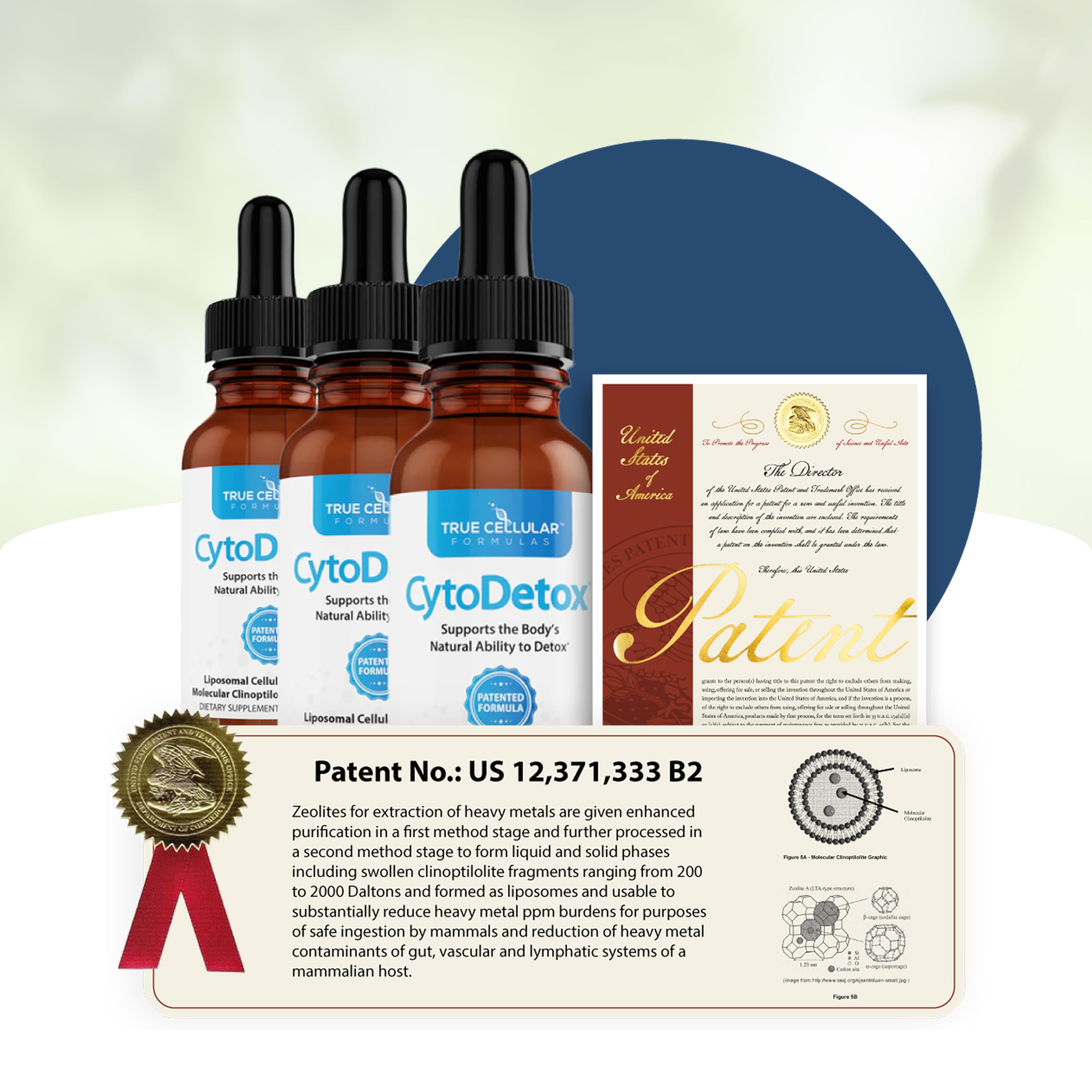 True Cellular Formulas CytoDetox Liposomal Zeolite Drops, Patented Purified Clinoptilolite with Fulvic Acid, Cellular Detox Support & Gentle Heavy Metal Binder, Liquid Supplement, 1 fl oz