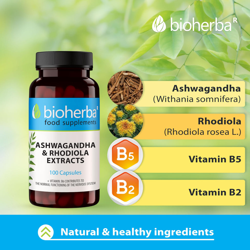 Ashwagandha Rhodiola Complex – 200 Capsules | Adaptogen Formula with B-Vitamins for Energy and Mental Performance by BIOHERBA
