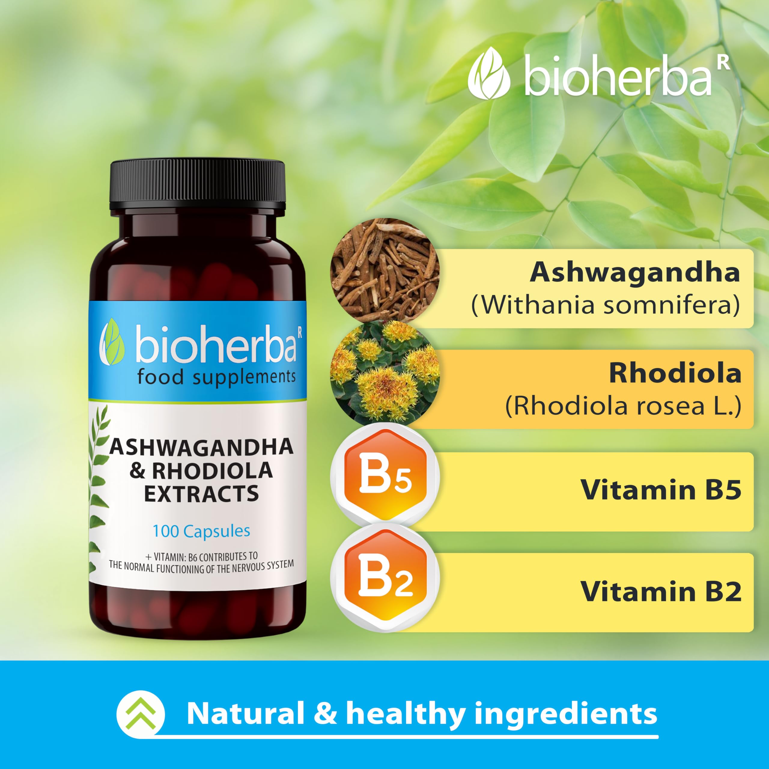 Ashwagandha Rhodiola Complex – 200 Capsules | Adaptogen Formula with B-Vitamins for Energy and Mental Performance by BIOHERBA