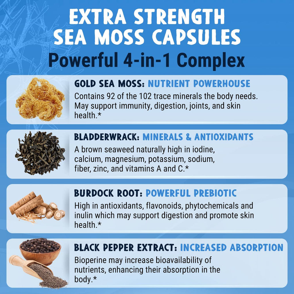 MAJU 4-in-1 Organic Sea Moss Capsules, Wild Chondrus Crispus, Seamoss w/Bladderwrack + Burdock Root, Stronger Than Gel, Irish, Sebi Inspired Raw Powder in Pills, 500 mg Capsule (60 ct)