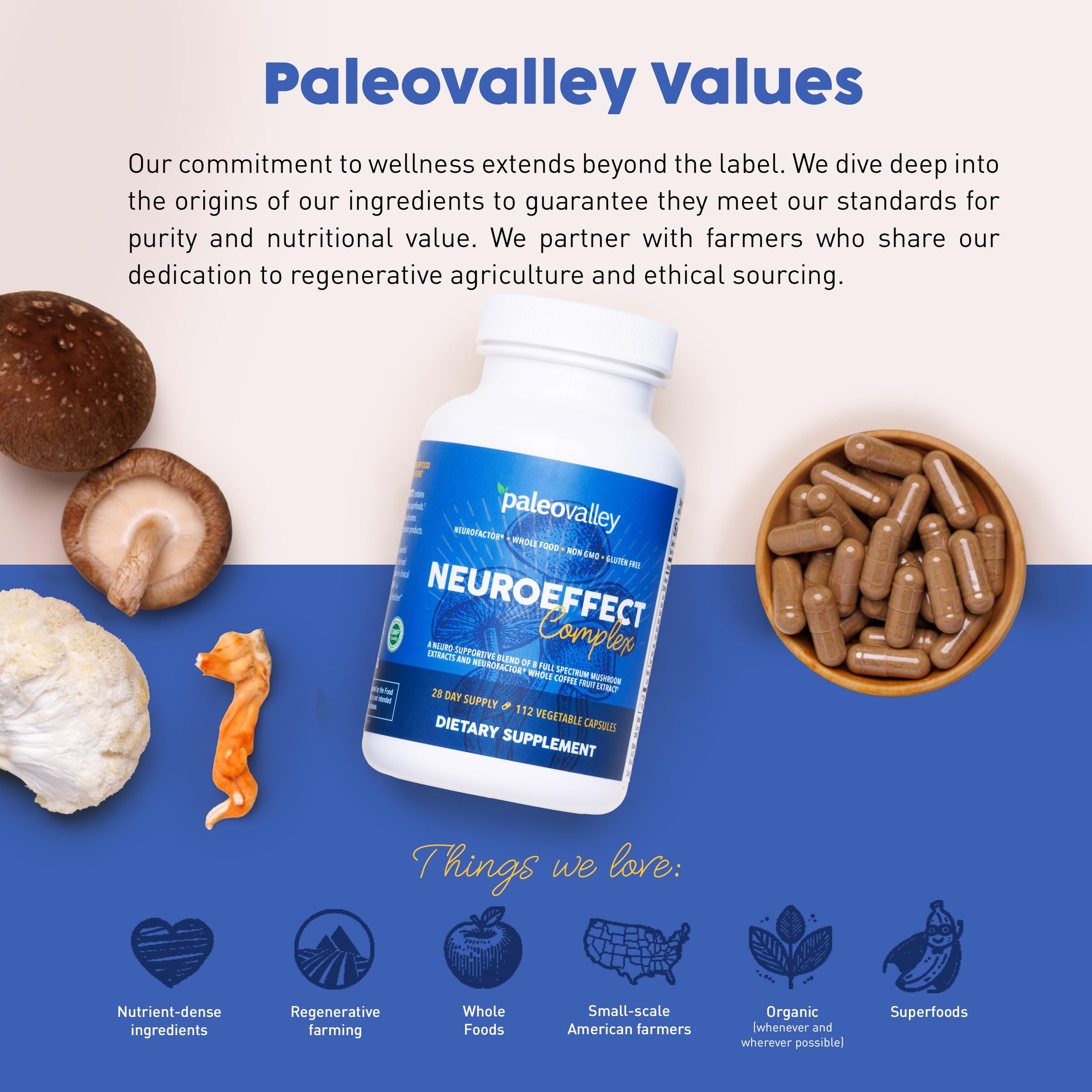 Paleovalley NeuroEffect - Neuro Mushroom Coffee Nutritional Supplement for Focus, Memory, and Energy Support - 28-Day Supply - 8 Full Spectrum Mushroom and Whole Coffee Fruit Extracts
