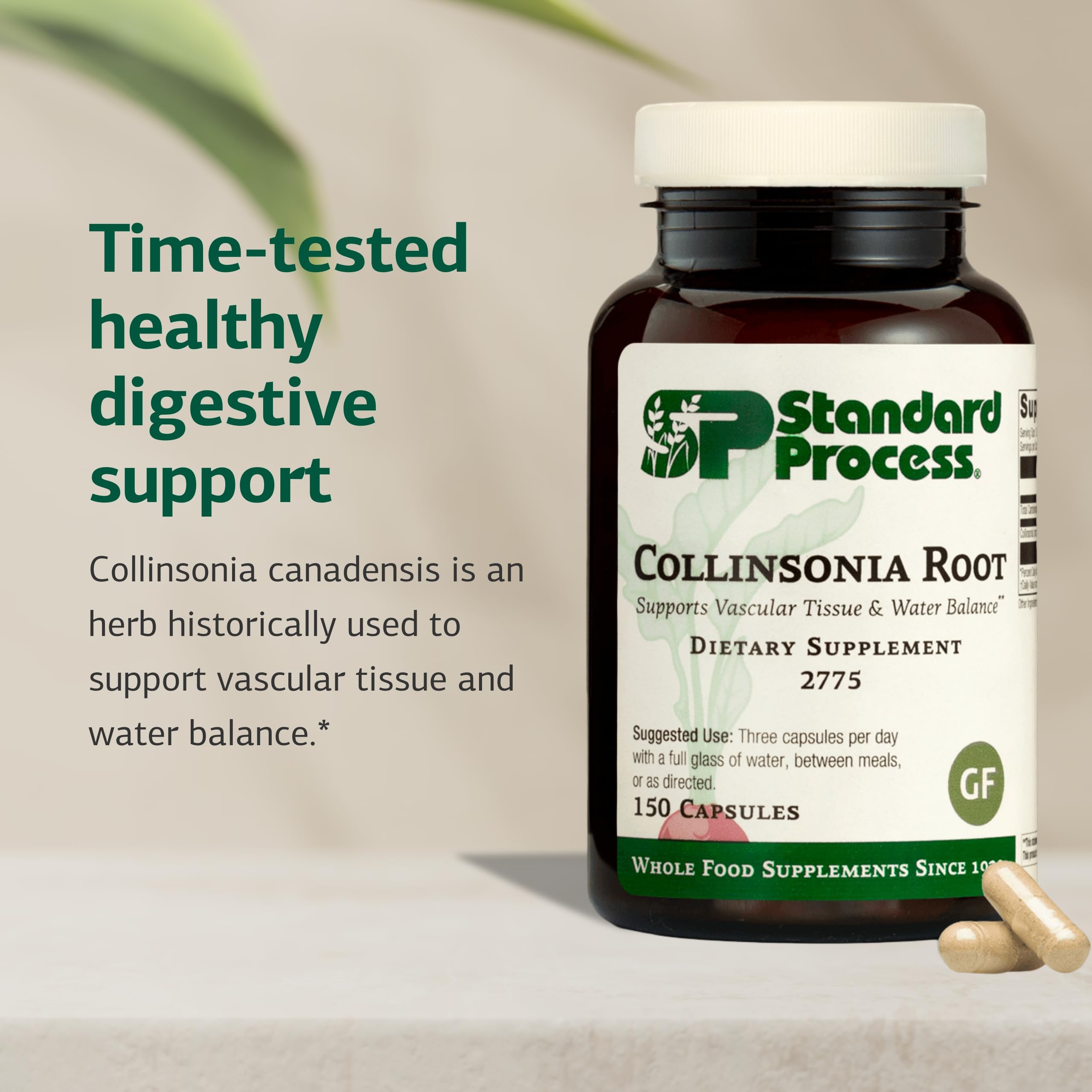 Standard Process Collinsonia Root - Healthy Vascular Tissue Support Supplement - Bladder & Kidney Health Supplement with Collinsonia Root - Supplement to Aid Digestive Health - 150 Capsules