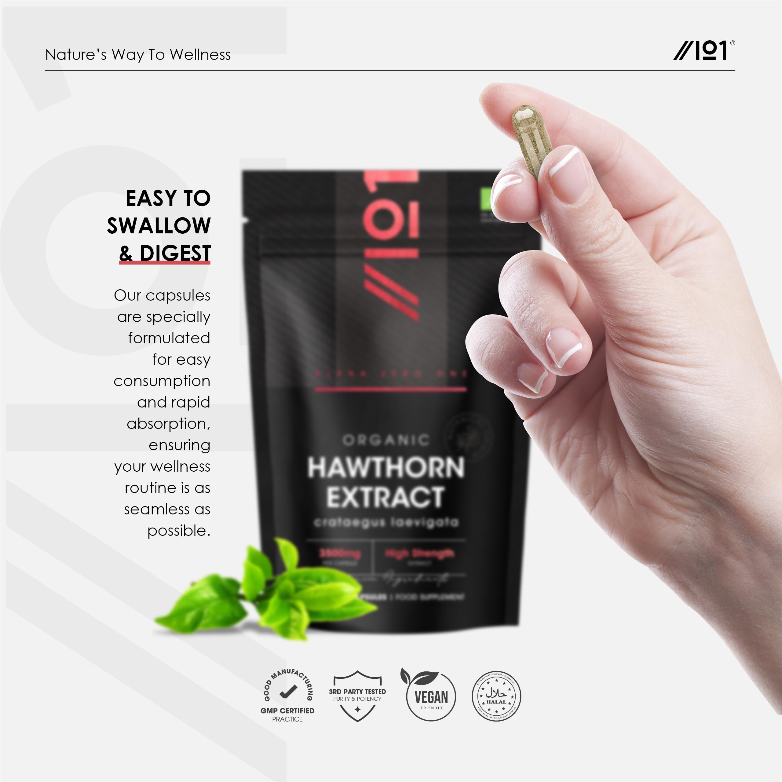 Organic Hawthorn Berry Extract 3500mg – 90 Vegan Capsules – High Strength Hawthorn Berry Supplement 7:1 Extract – Resealable and Recyclable Pouch by Alpha01