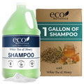 Terra Pure 1-Shoppe Eco Botanics Natural Shampoo with Raw Honey & White Tea | Gallon Jug Bulk Toiletries for Airbnb, Vacation Rentals, and Home Bathroom | Refill For Soap Dispensers