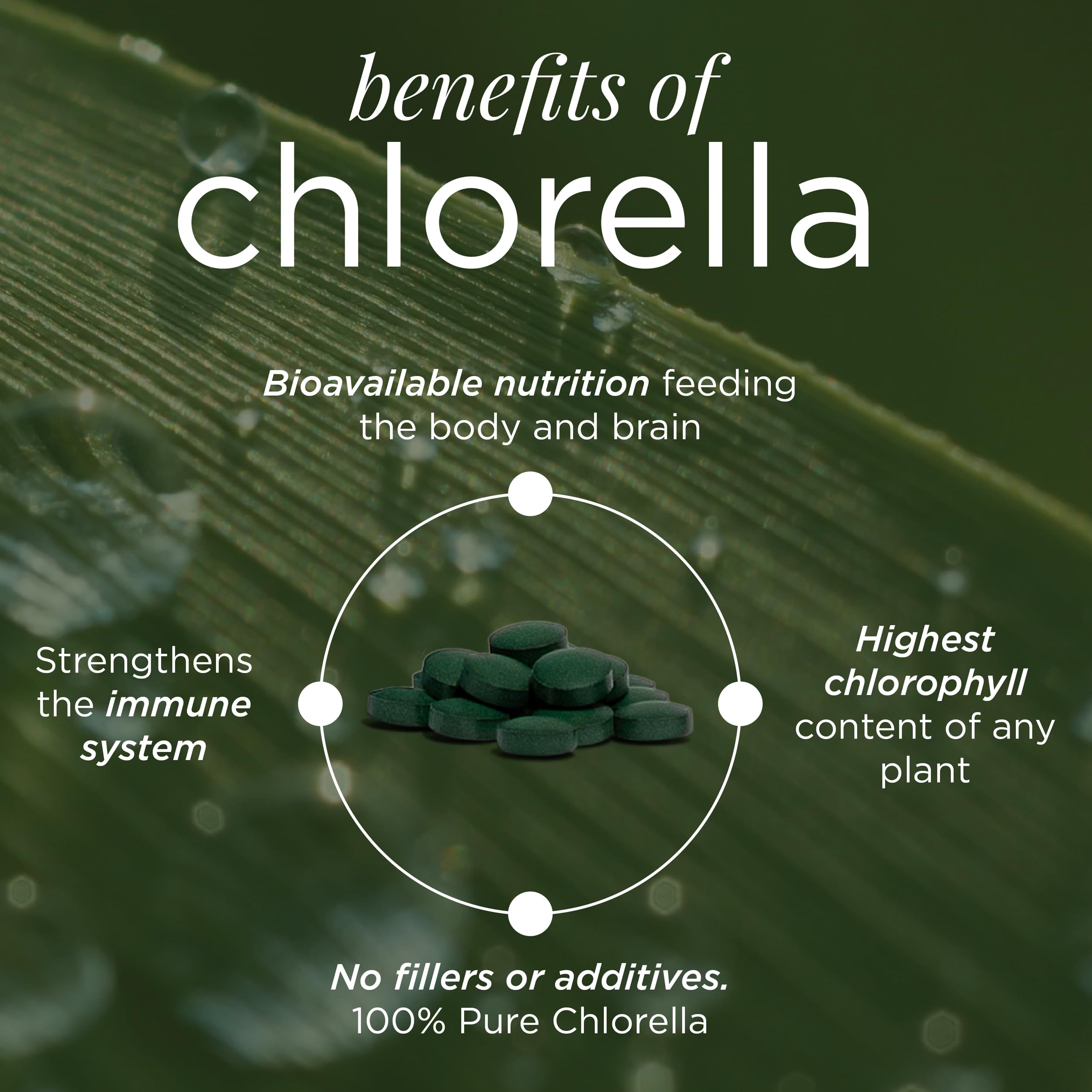 RECOVERYbits - Organic Chlorella Tablets - Plant-Based Algae Superfood - Chlorophyll - Cracked Cell Wall - Energy - Immune System - Detox - Keto - Vegan - Non-GMO - Large Bag - 1000 Tablets