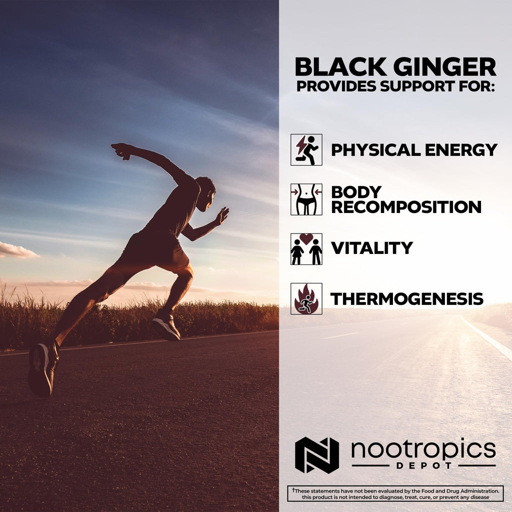 Nootropics Depot Black Ginger Extract Capsules | 10% 5,7-dimethoxyflavone | 180 Count