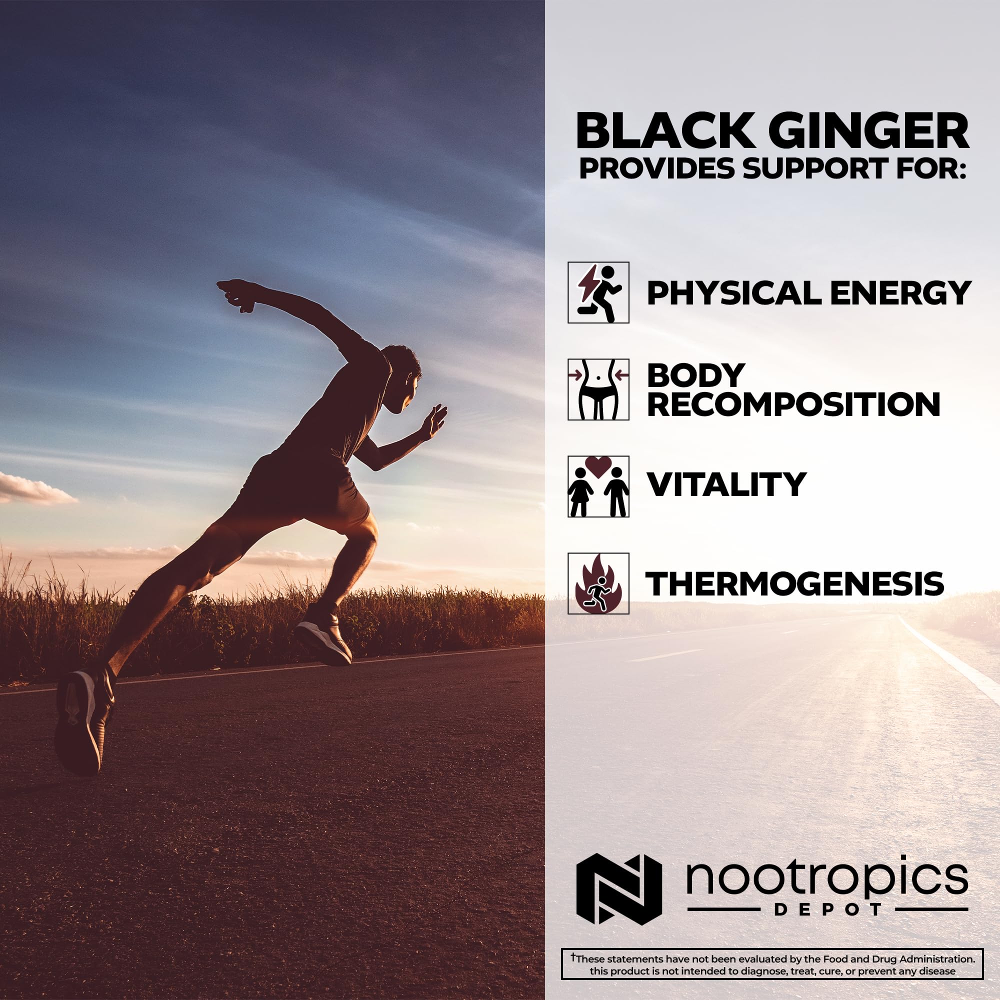 Nootropics Depot Black Ginger Extract Capsules | 10% 5,7-dimethoxyflavone | 180 Count