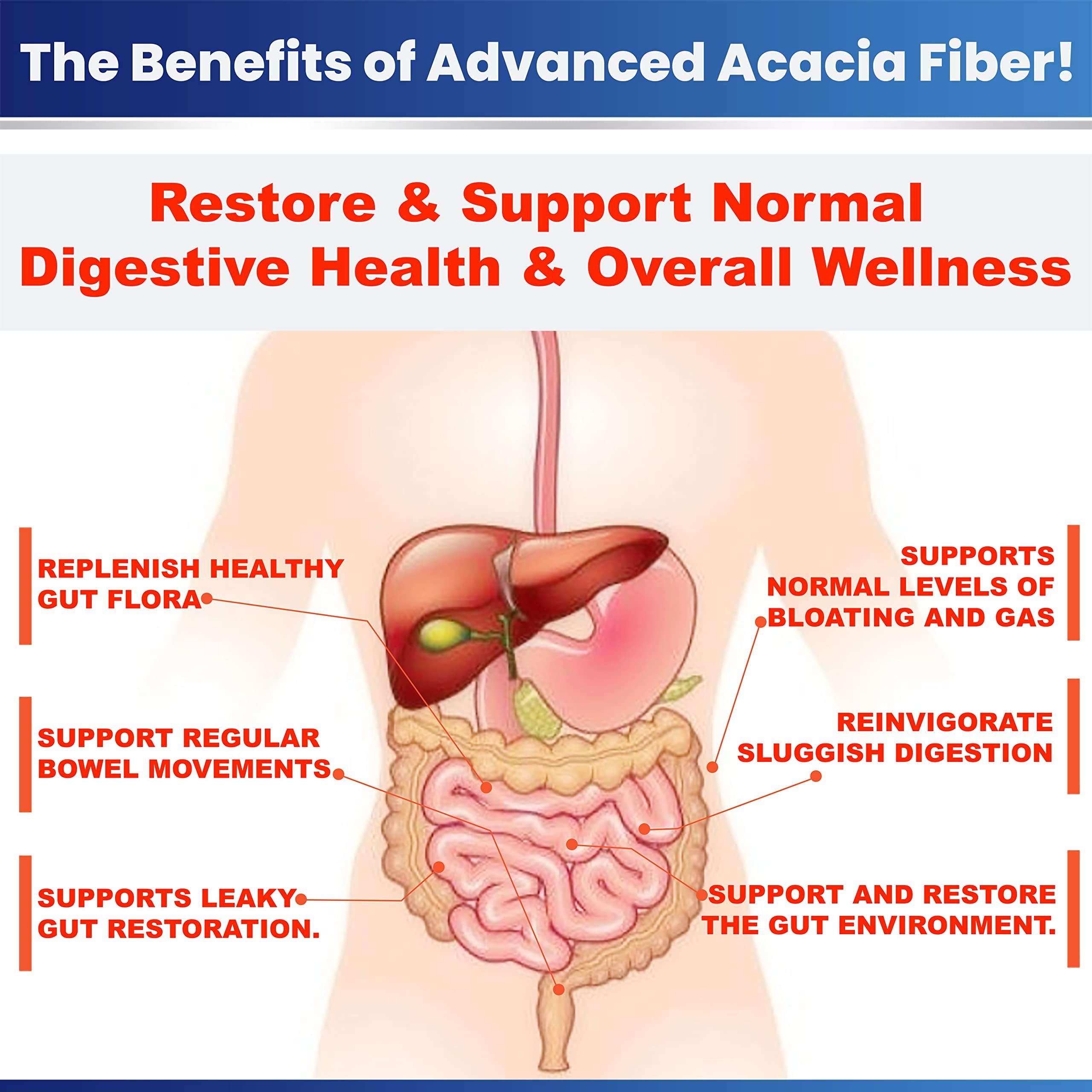 Organic Advanced Acacia Fiber Powder 40oz (2.5 lbs) - Soluble Fiber Leaky Gut Repair Powder. Natural Supplement for Gut Health, Regularity, Digestive Rejuvenation