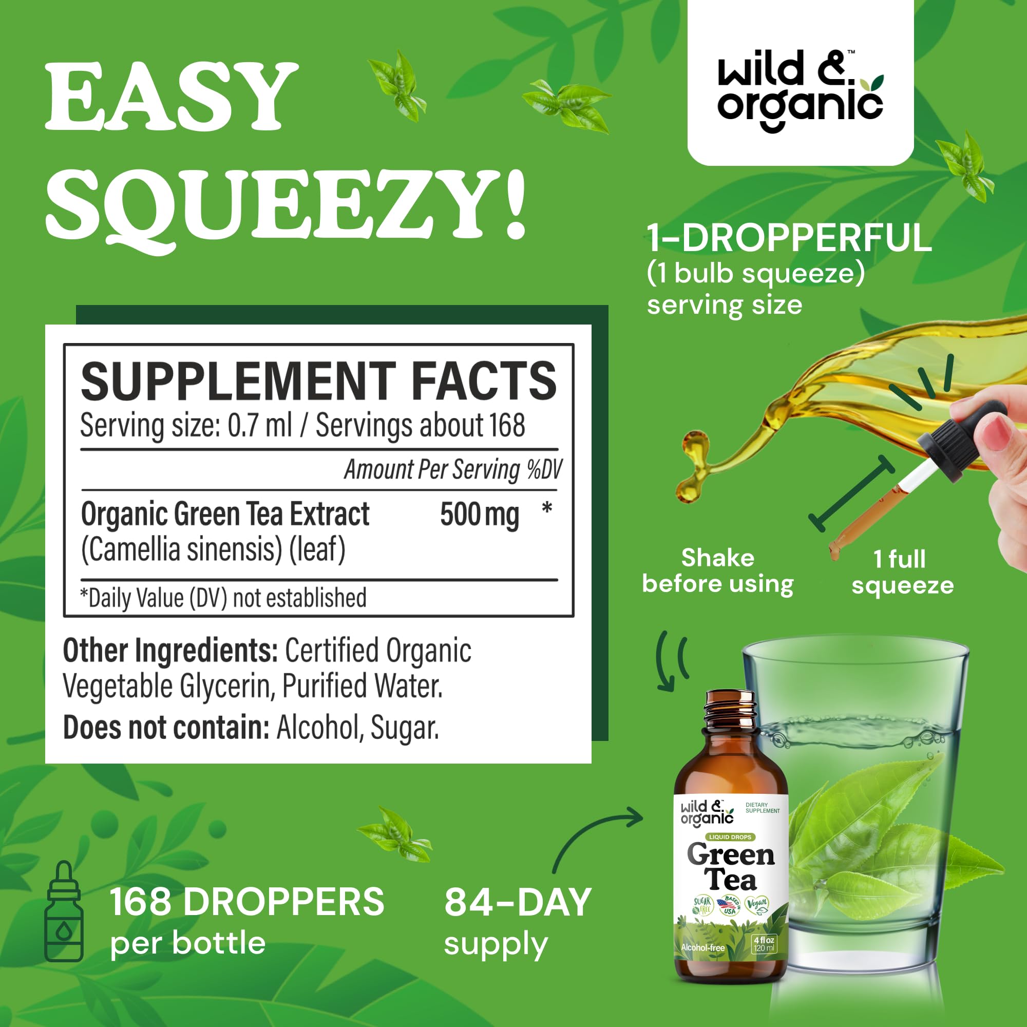 Wild & Organic Green Tea Extract Liquid Drops - Antioxidant Support - Pure Green Tea Supplement - 84-Day Supply - Vegan, Sugar & Alcohol-Free Camellia Sinensis Tincture - 4 fl oz