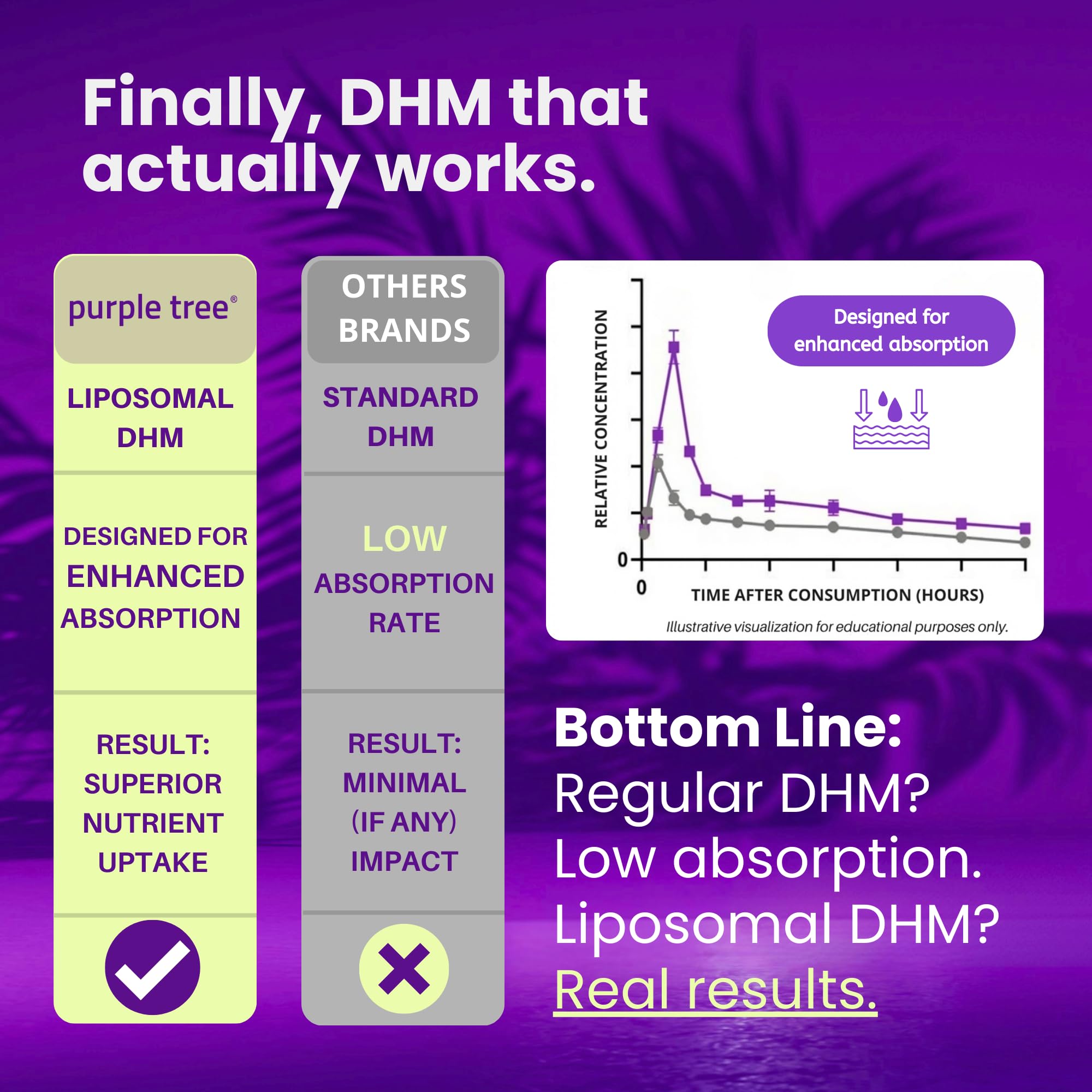purple tree Post-Celebration Wellness Supplement for Liver Support & Hydration | Liposomal Dihydromyricetin (DHM), L-Glutathione, Milk Thistle, B Vitamins, Minerals, Willow Bark | 30 Capsules