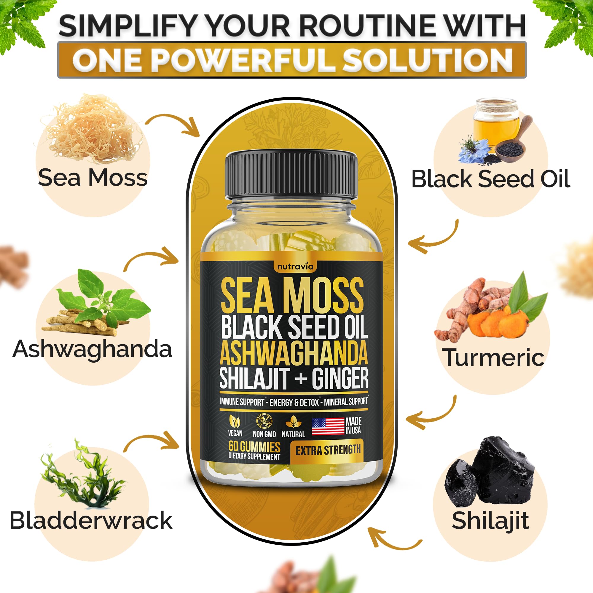 Sea Moss, Black Seed Oil, Ashwagandha, Ginger, Shilajit Gummies with Elderberry, Chlorophyll, Turmeric Bladderwrack Sea Moss Gummies Advanced Strength Formula - All in 1 Bundle - USA Made (60 Gummies)