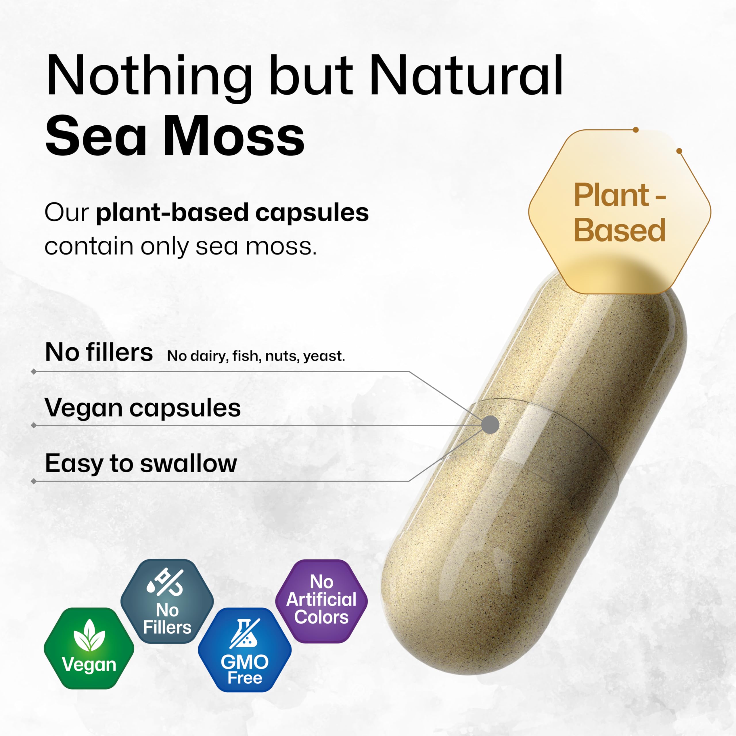 BIO KRAUTER® 2-in-1 Sea Moss for Overall Support - Vegan Bladderwrack & Sea Moss Capsules for Women & Men - Natural Сhondrus Сrispus Seaweed Supplement 1600 mg - 125 Days of Supply, Non-GMO