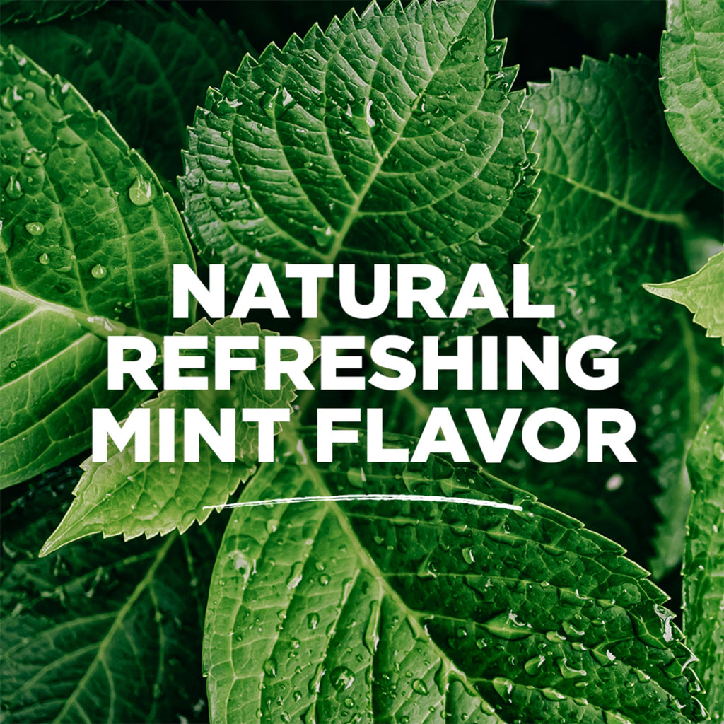 Tom's of Maine Sea Salt Natural Alcohol-Free Mouthwash, Refreshing Mint, 16 Fl Oz (Pack of 6)(Packaging May Vary)